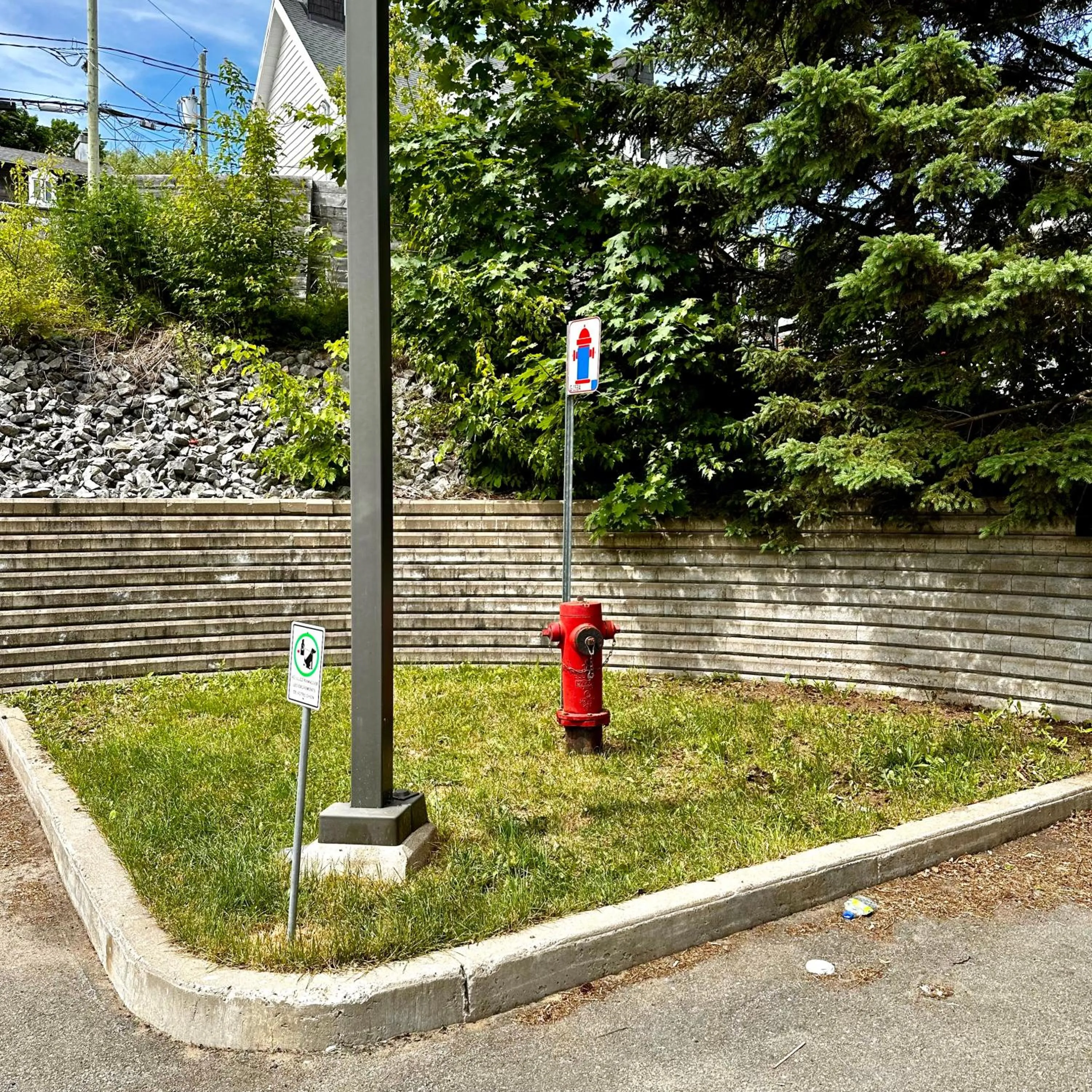 Pets in INITIAL - HORIZON - Chutes-Montmorency