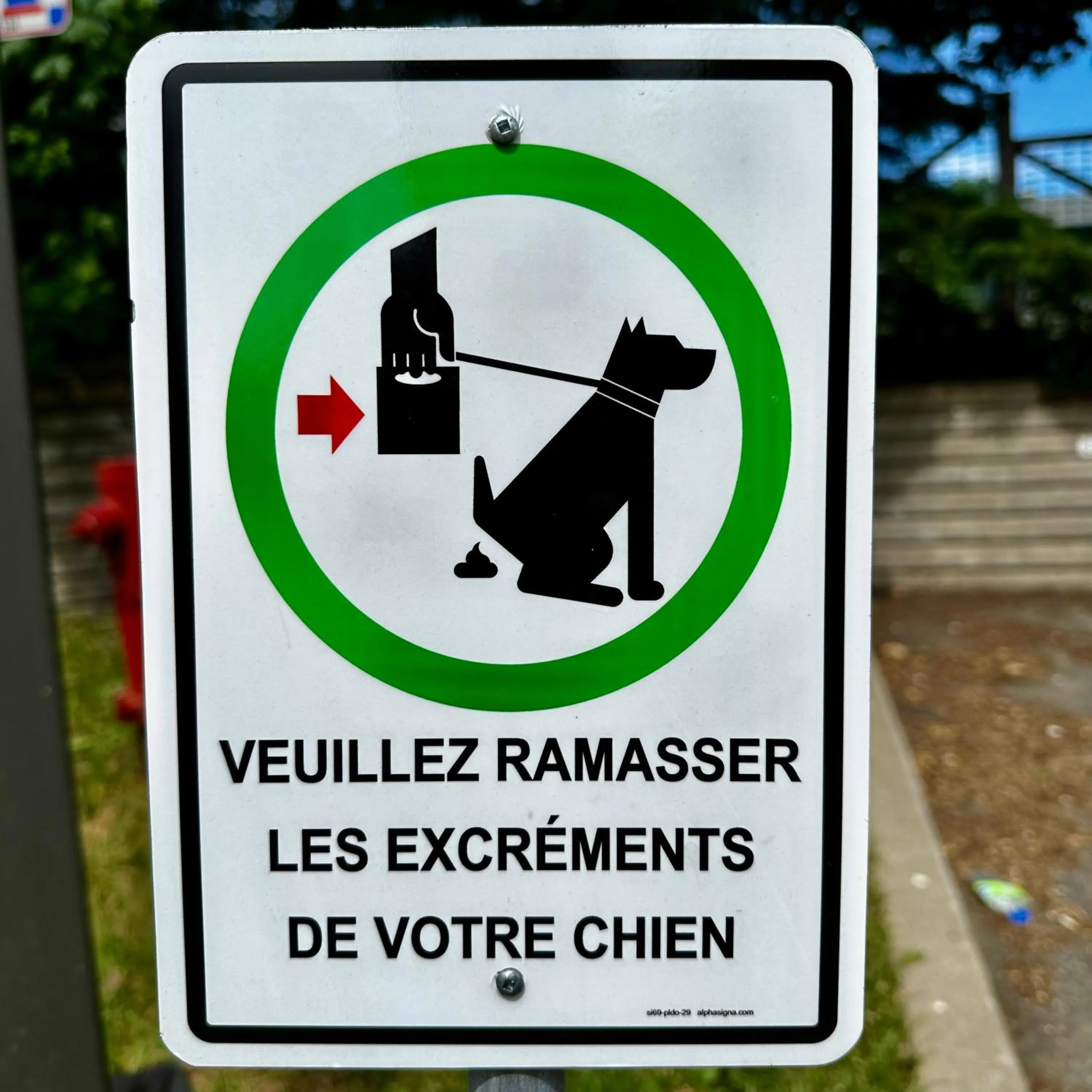 Pets in INITIAL - HORIZON - Chutes-Montmorency