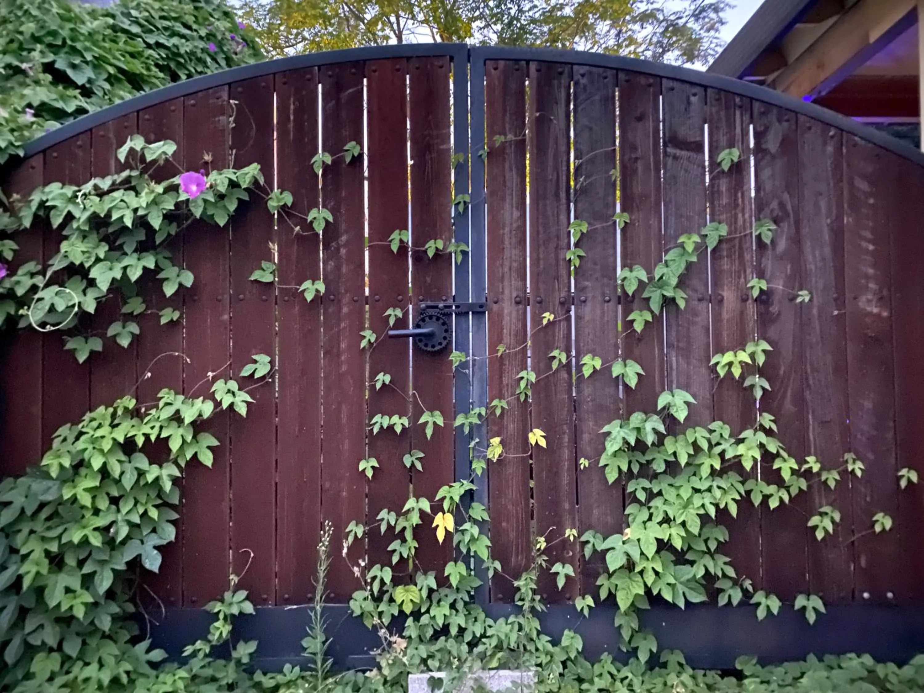 On site in My Big Art Project