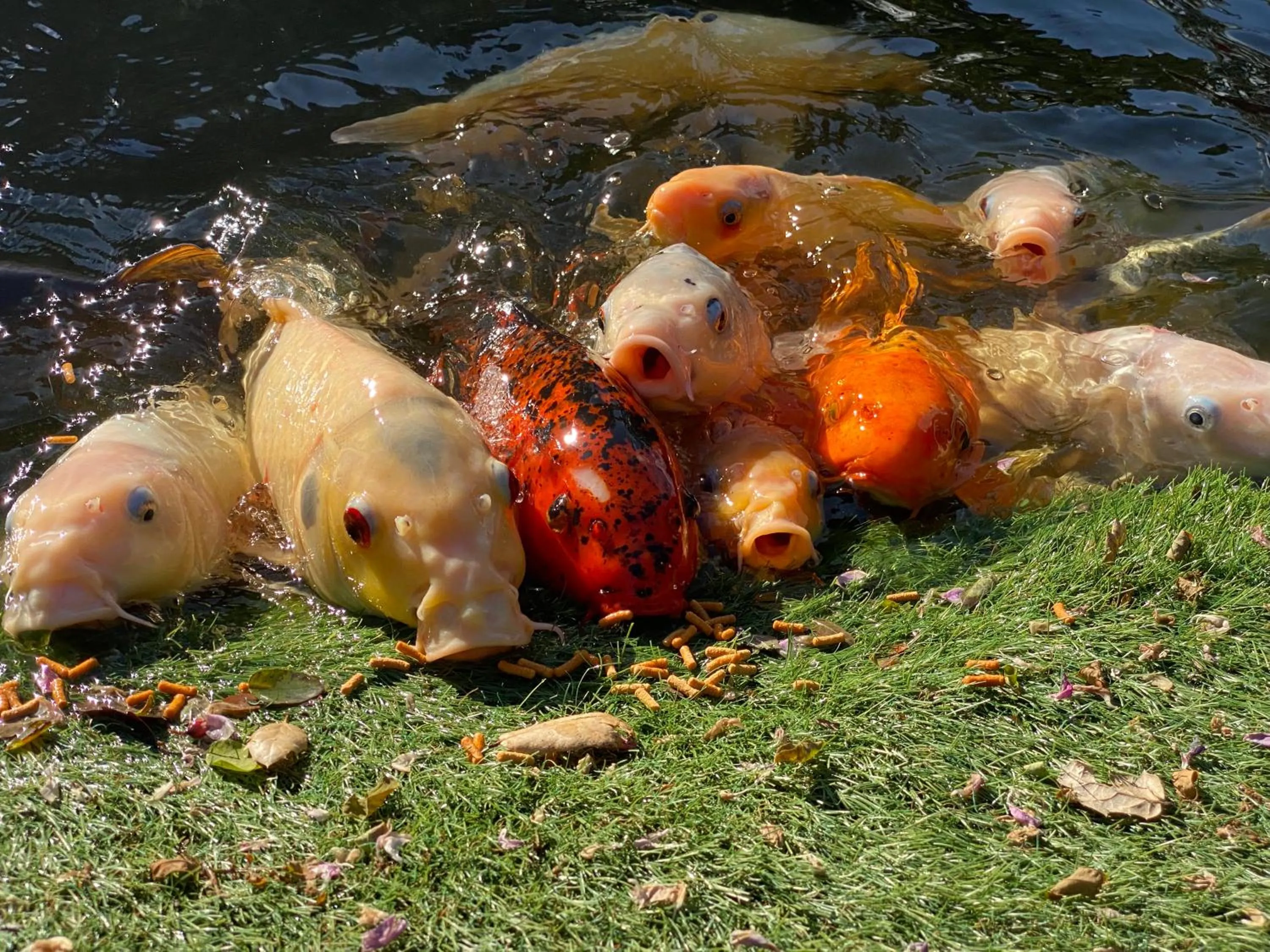 Garden in My Big Art Project