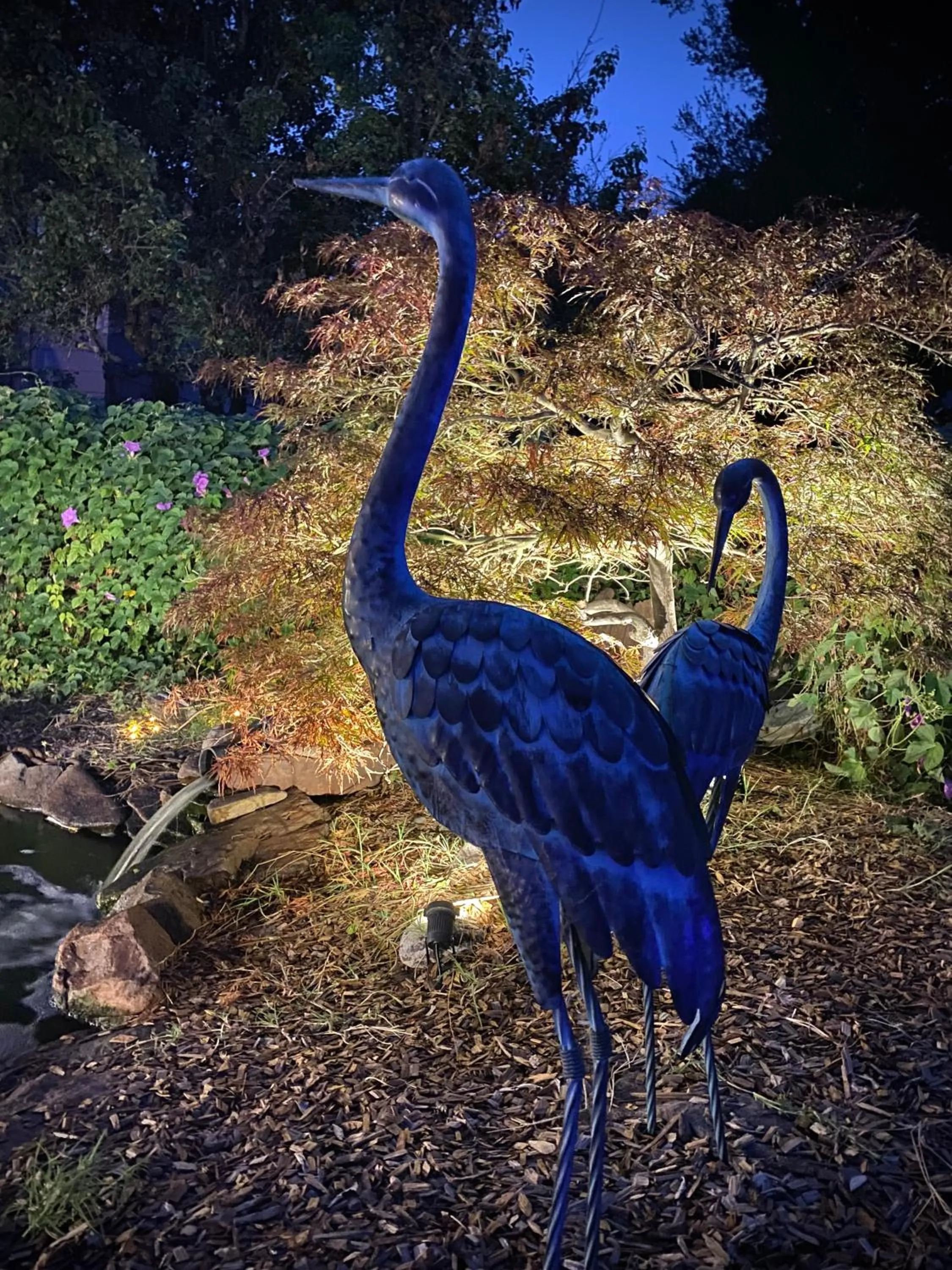 Garden in My Big Art Project