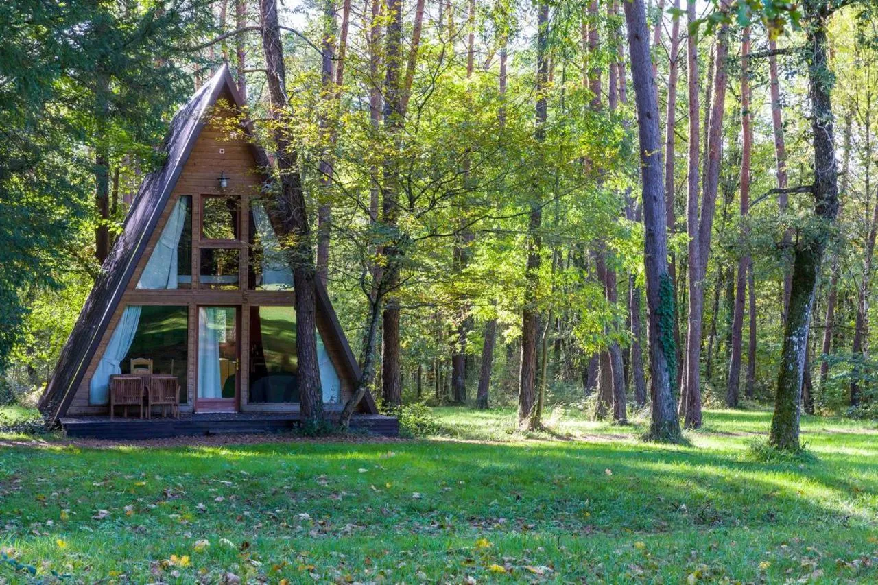 Garden view in Château De Razay