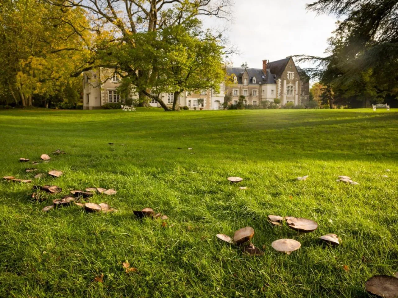 Property building in Château De Razay