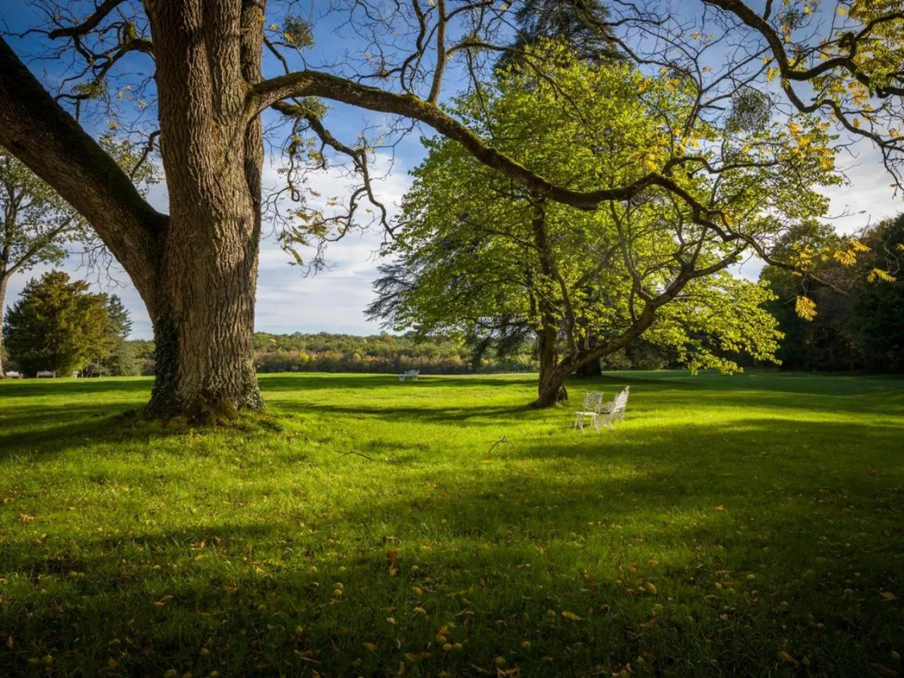 Natural landscape in Château De Razay