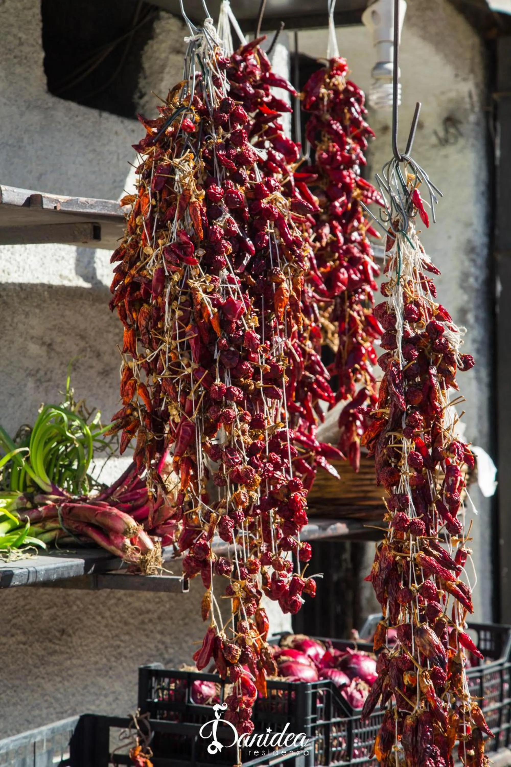 Other in Residenza Danidea