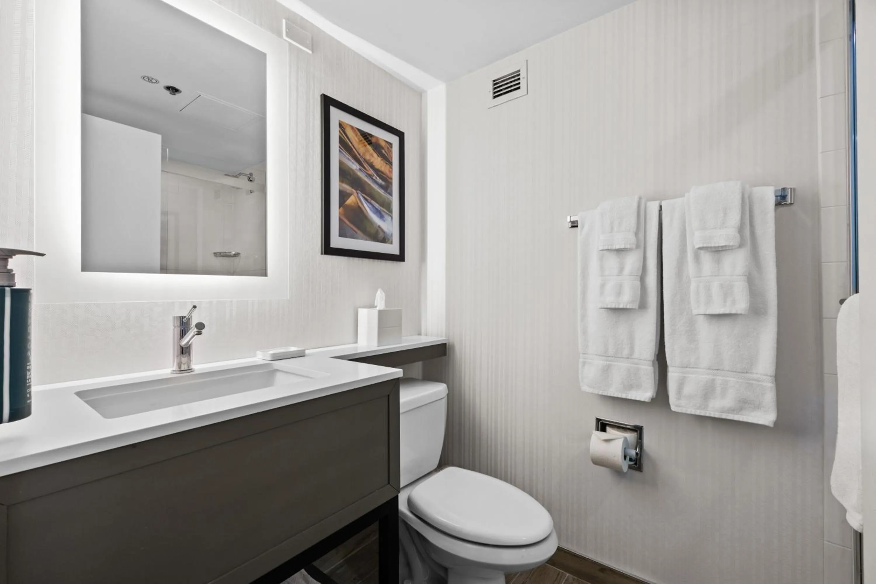 Toilet in DoubleTree by Hilton New York JFK Airport