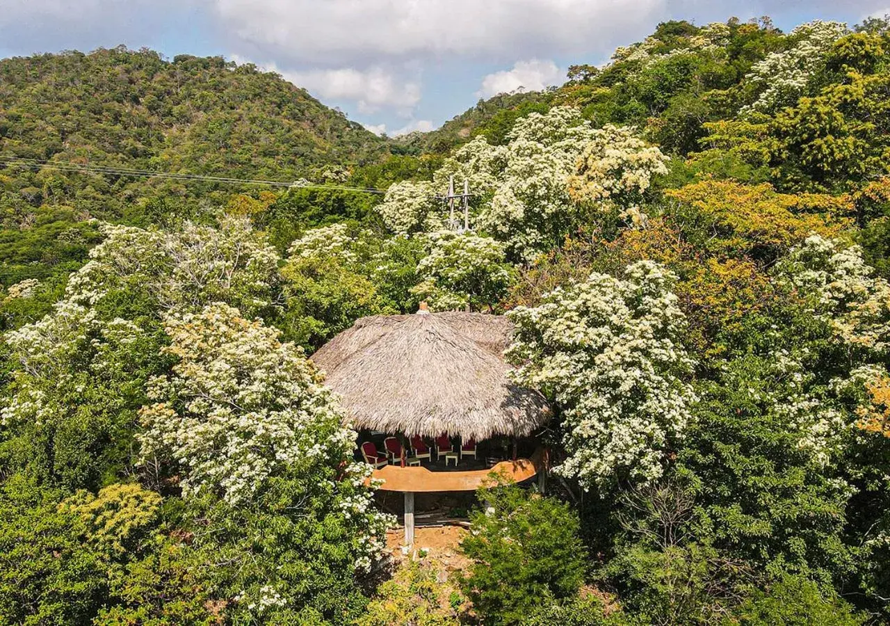 Geminis in Hotel Bahía de la Luna Geminis in Hotel Bahía de la Luna