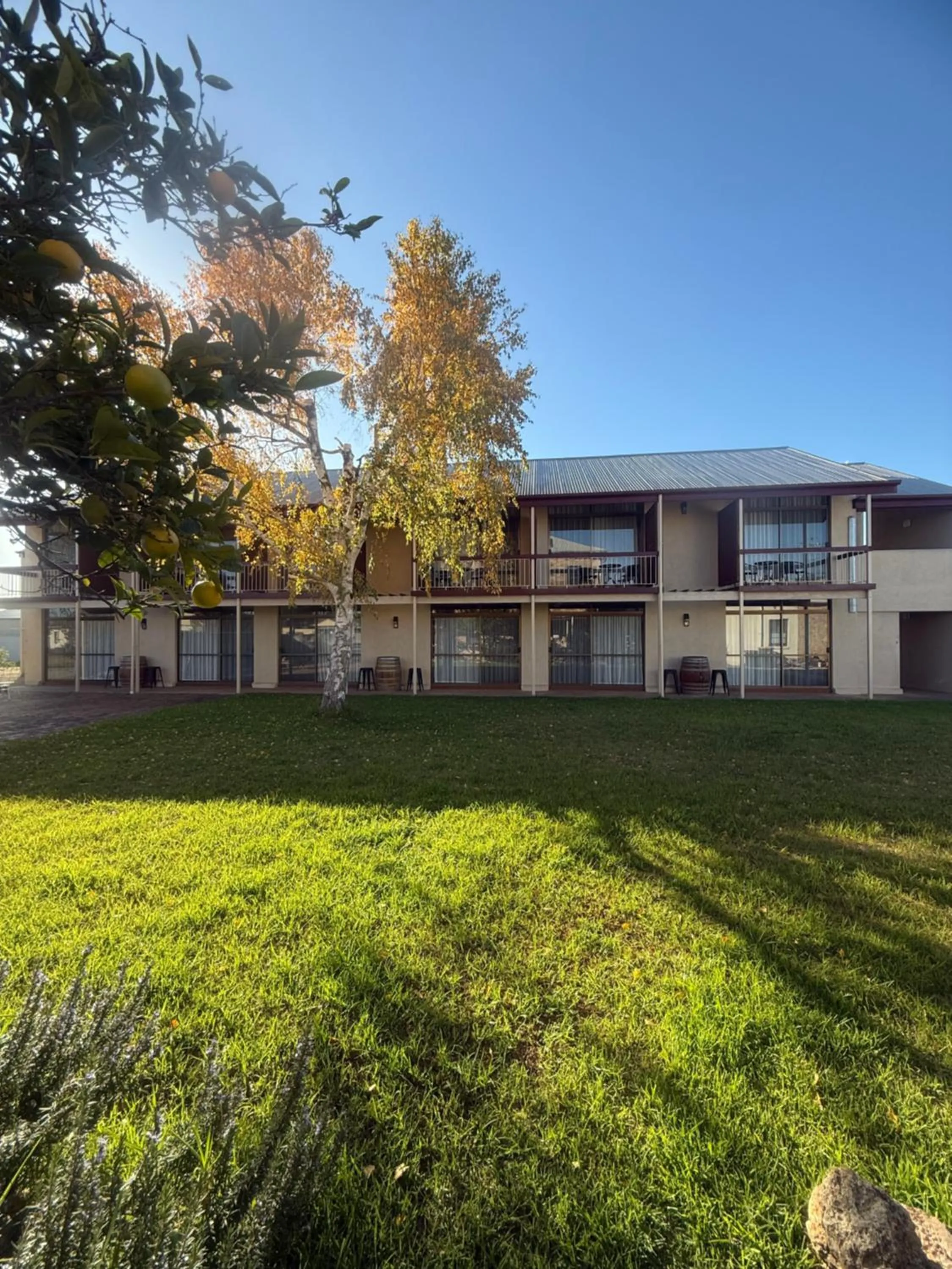 Coonawarra Motor Lodge