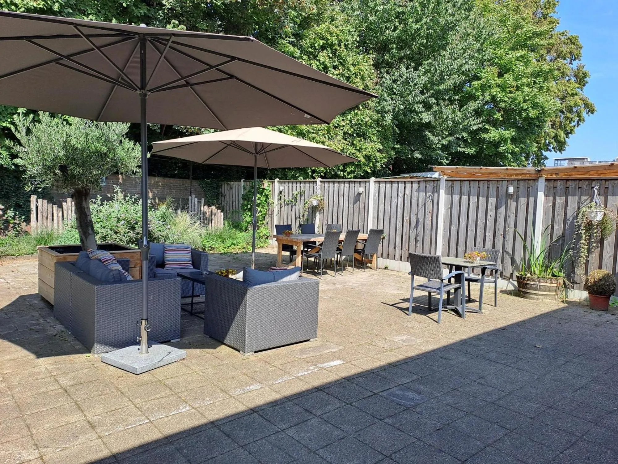 Garden in B&B de Wilhelminaschool