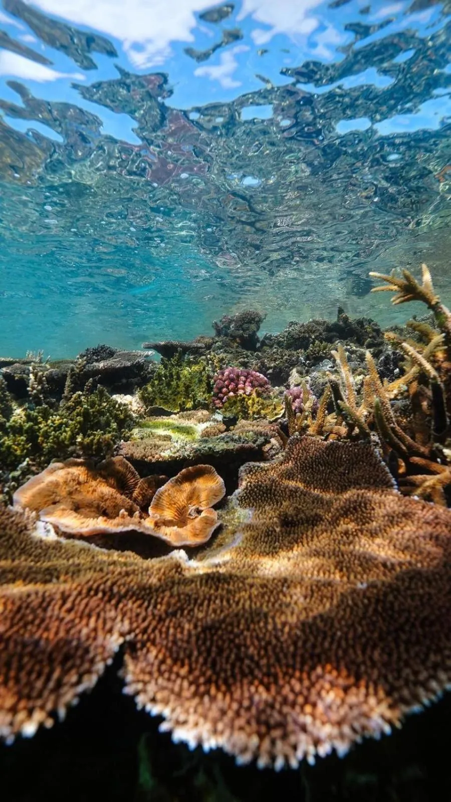 Activities in Blue Lagoon Beach Resort