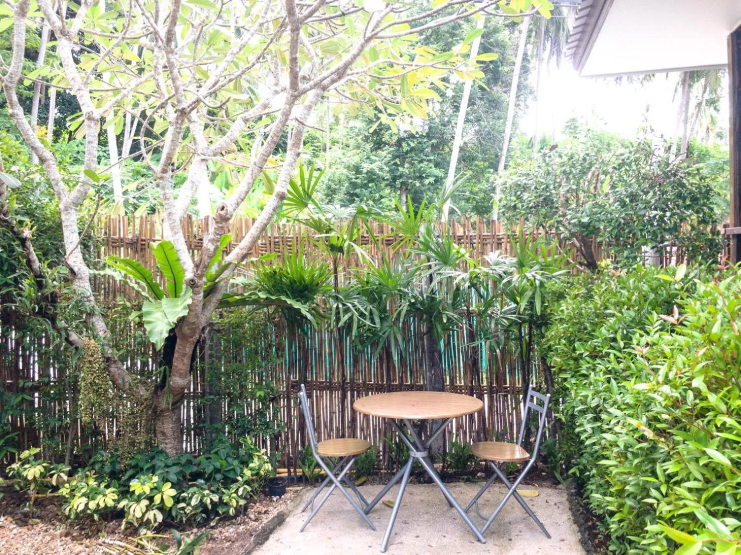 Garden in Kata Tranquil Villa - SHA Plus