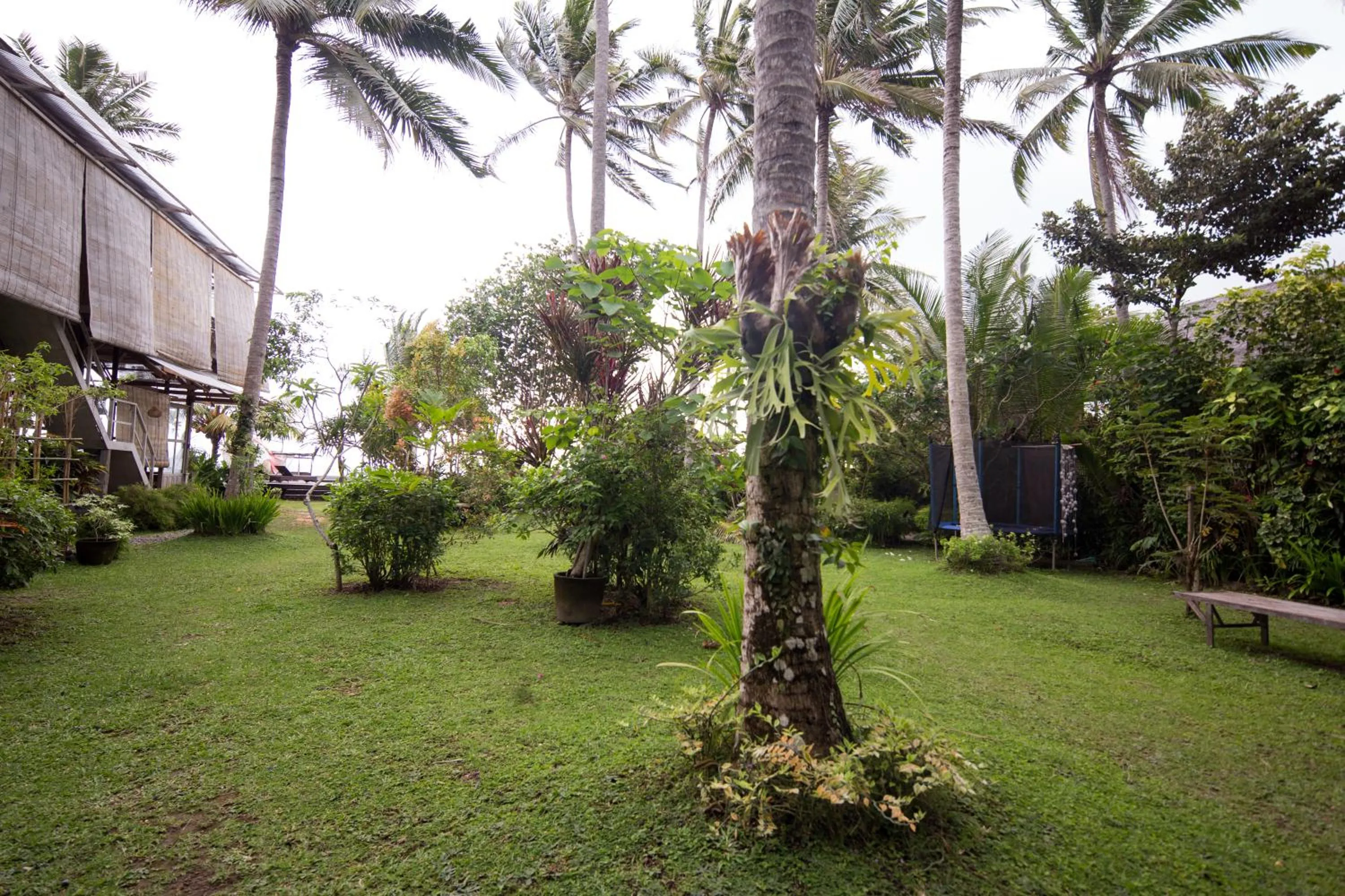 Garden view in Pondok Pisang Candidasa