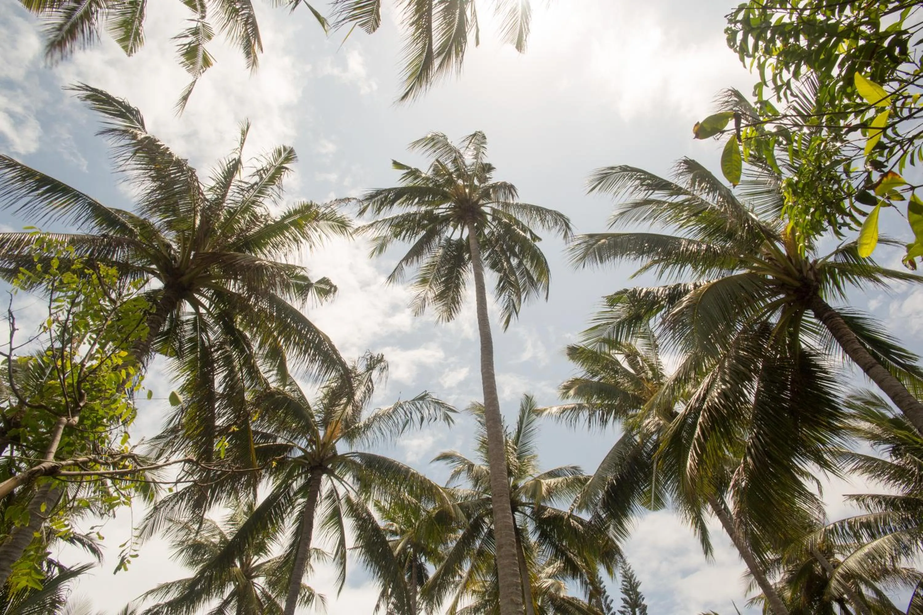 View (from property/room) in Pondok Pisang Candidasa