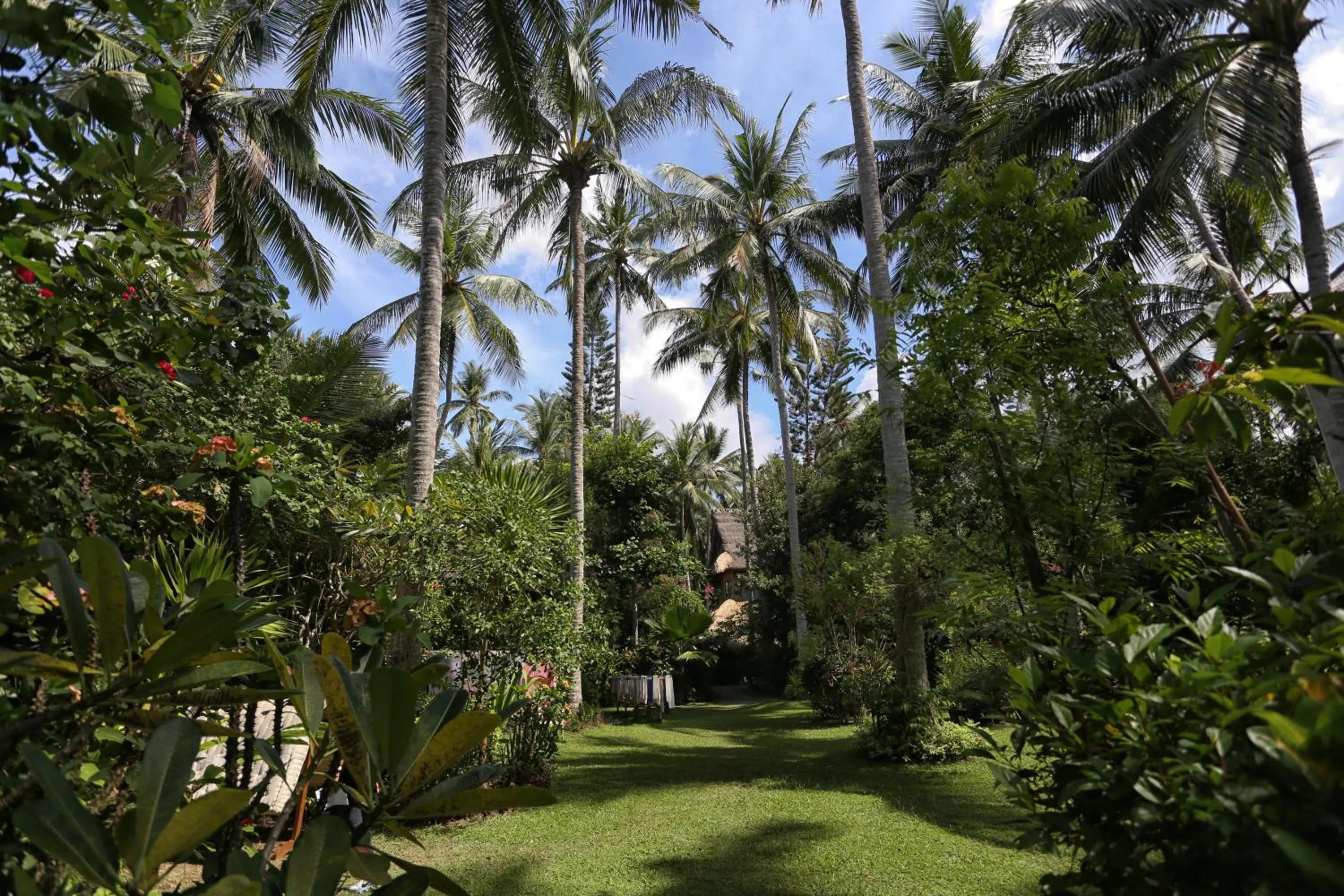 Garden in Pondok Pisang Candidasa