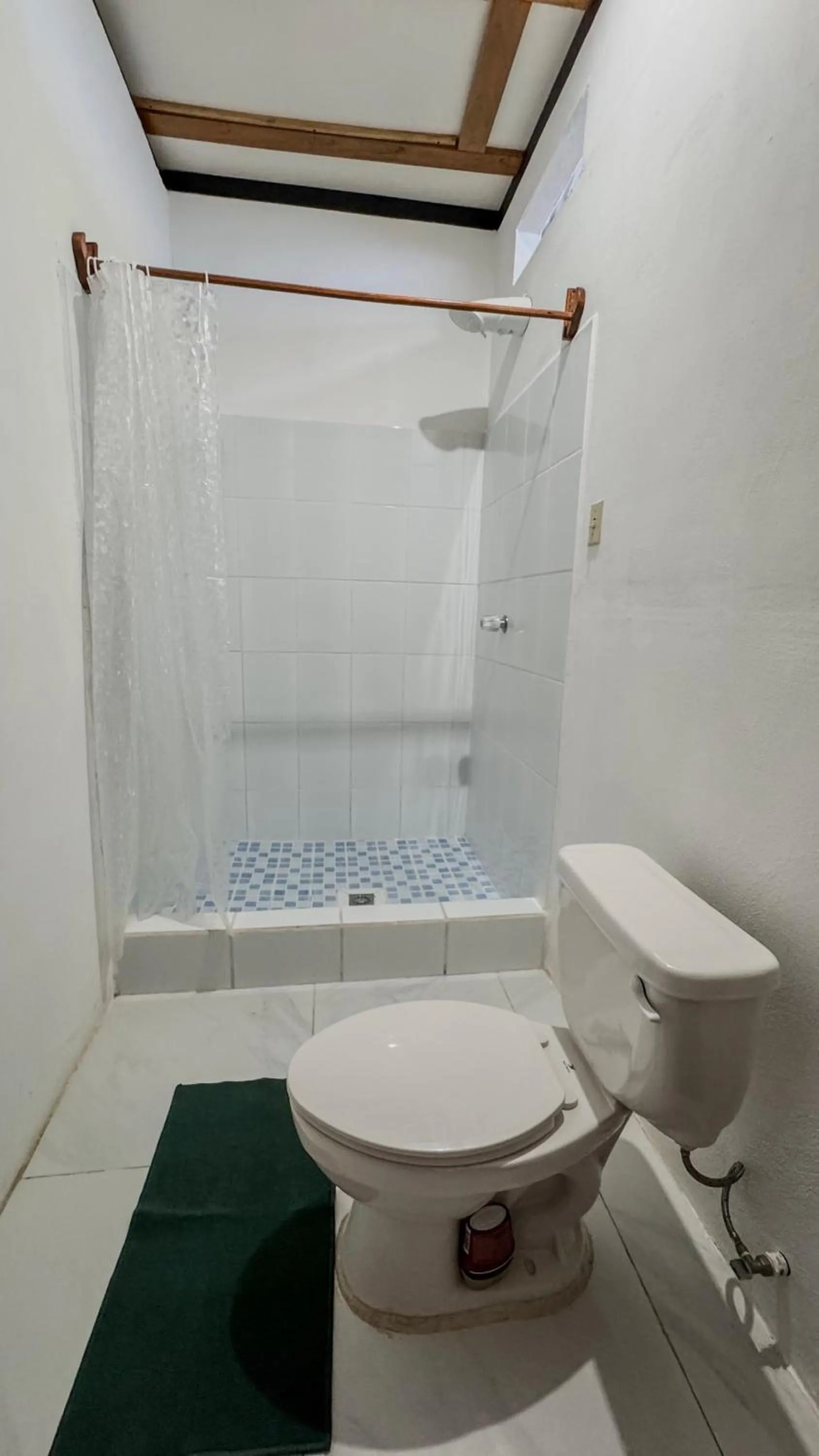 Shower in Mayan Spirit