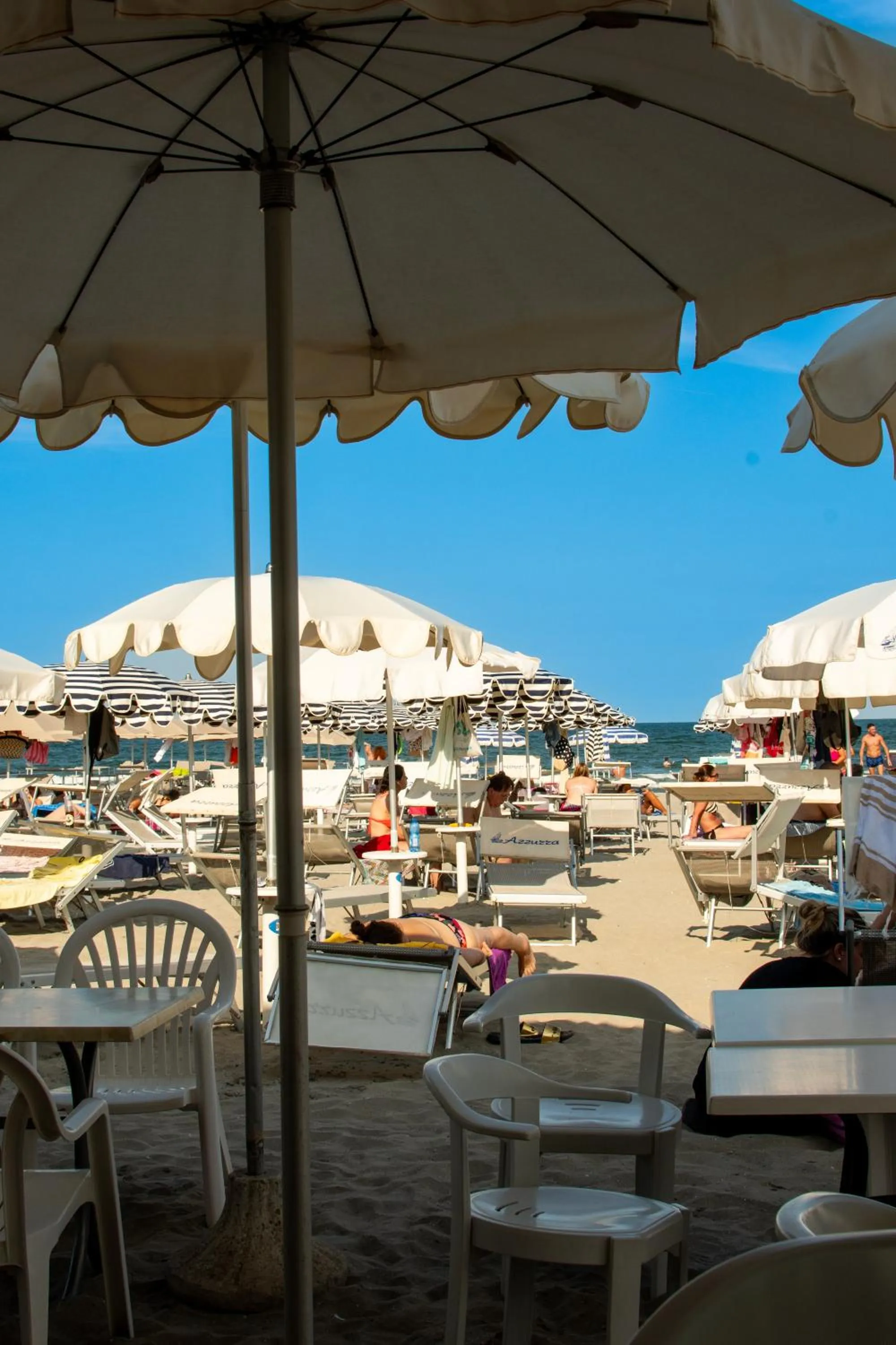 Restaurant/places to eat in Hotel Negresco