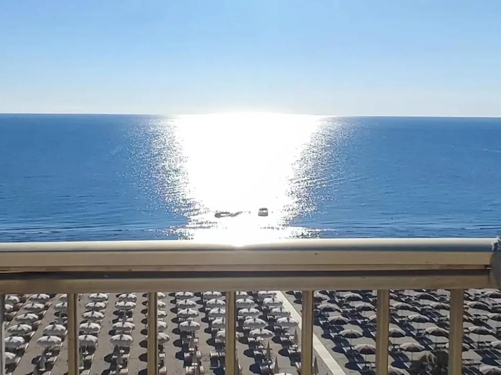 Balcony/Terrace in Hotel Negresco