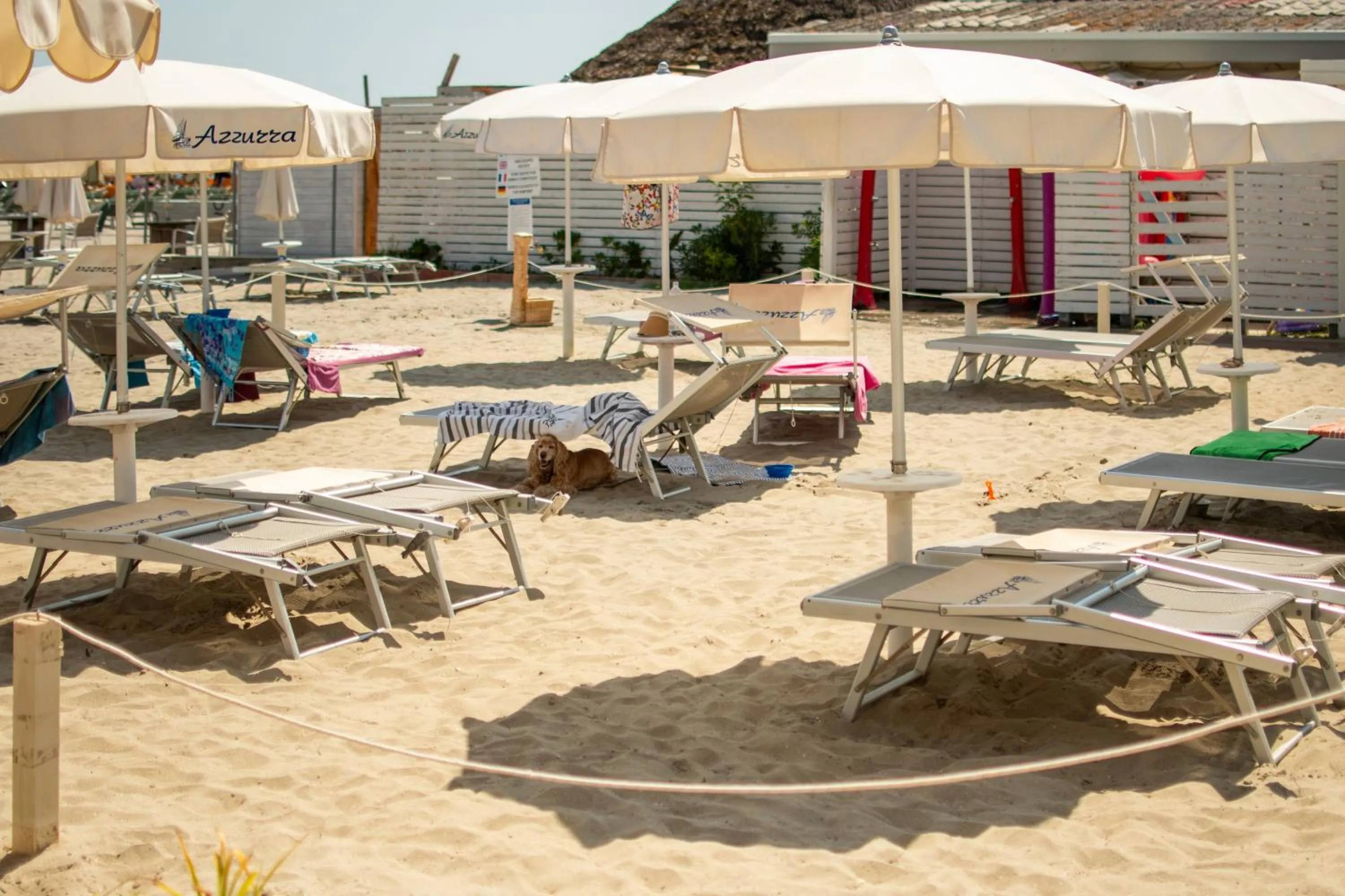 Beach in Hotel Negresco