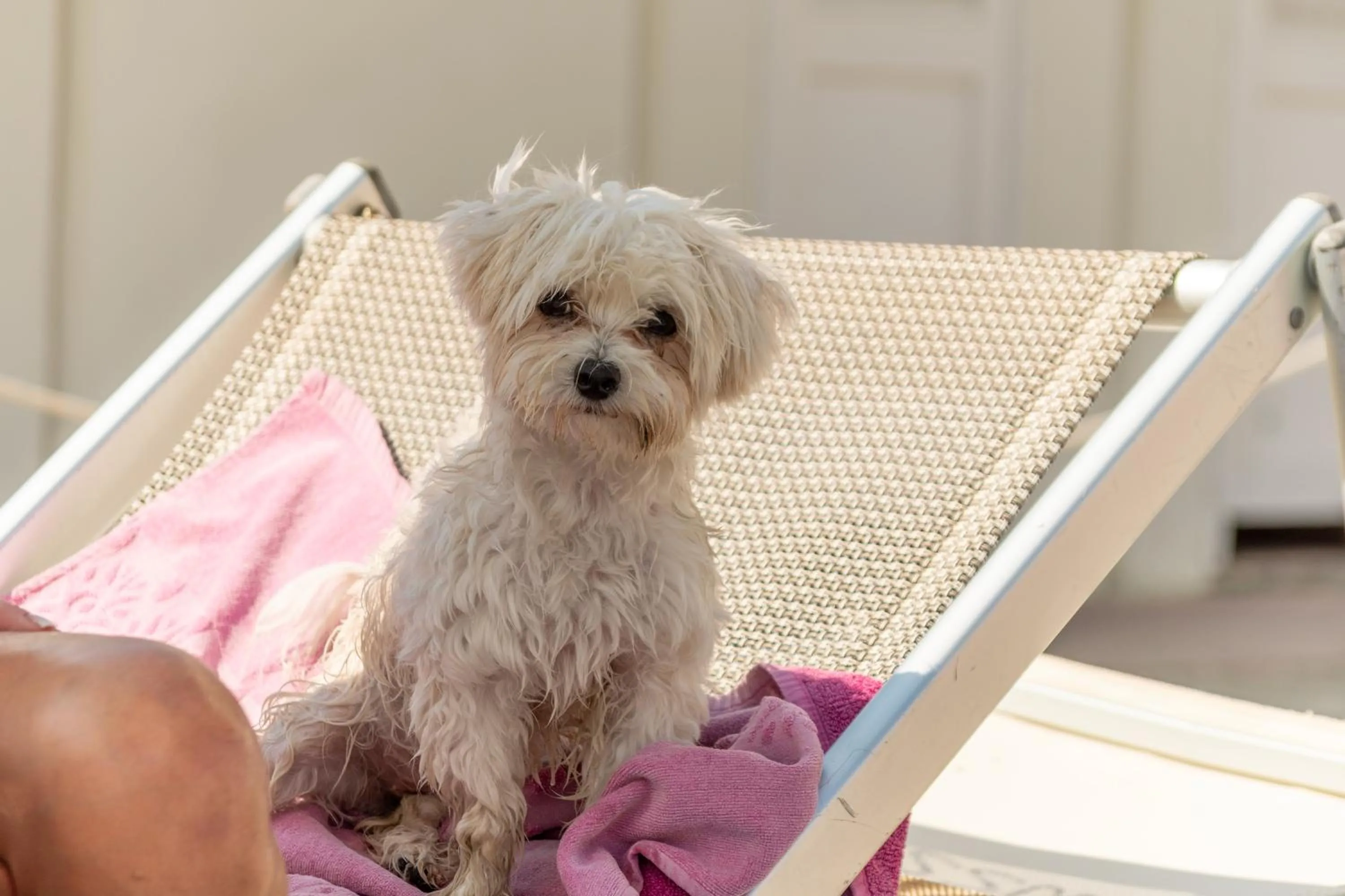Breakfast in Hotel Negresco