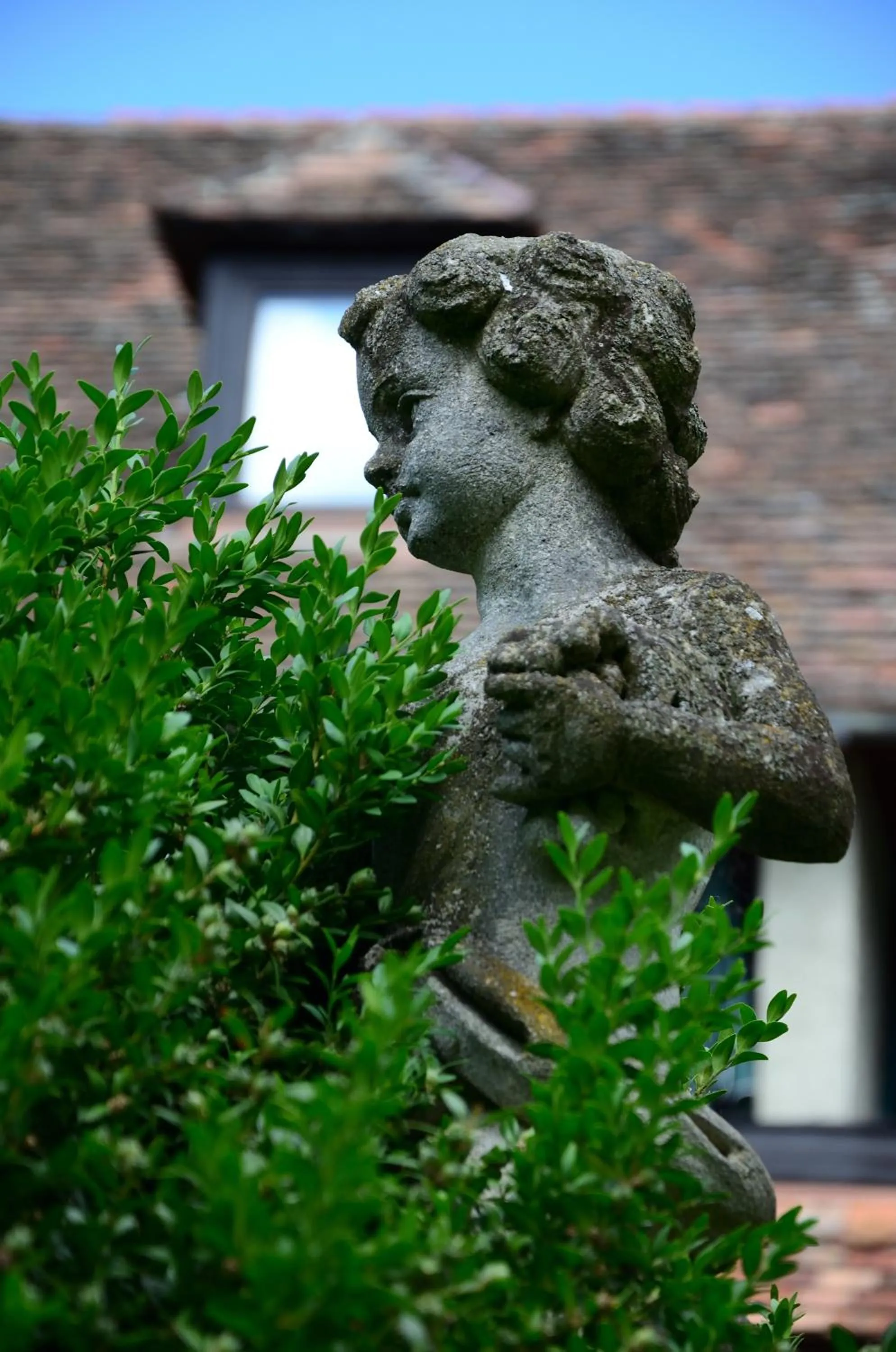 Garden in Hotel Richard Löwenherz