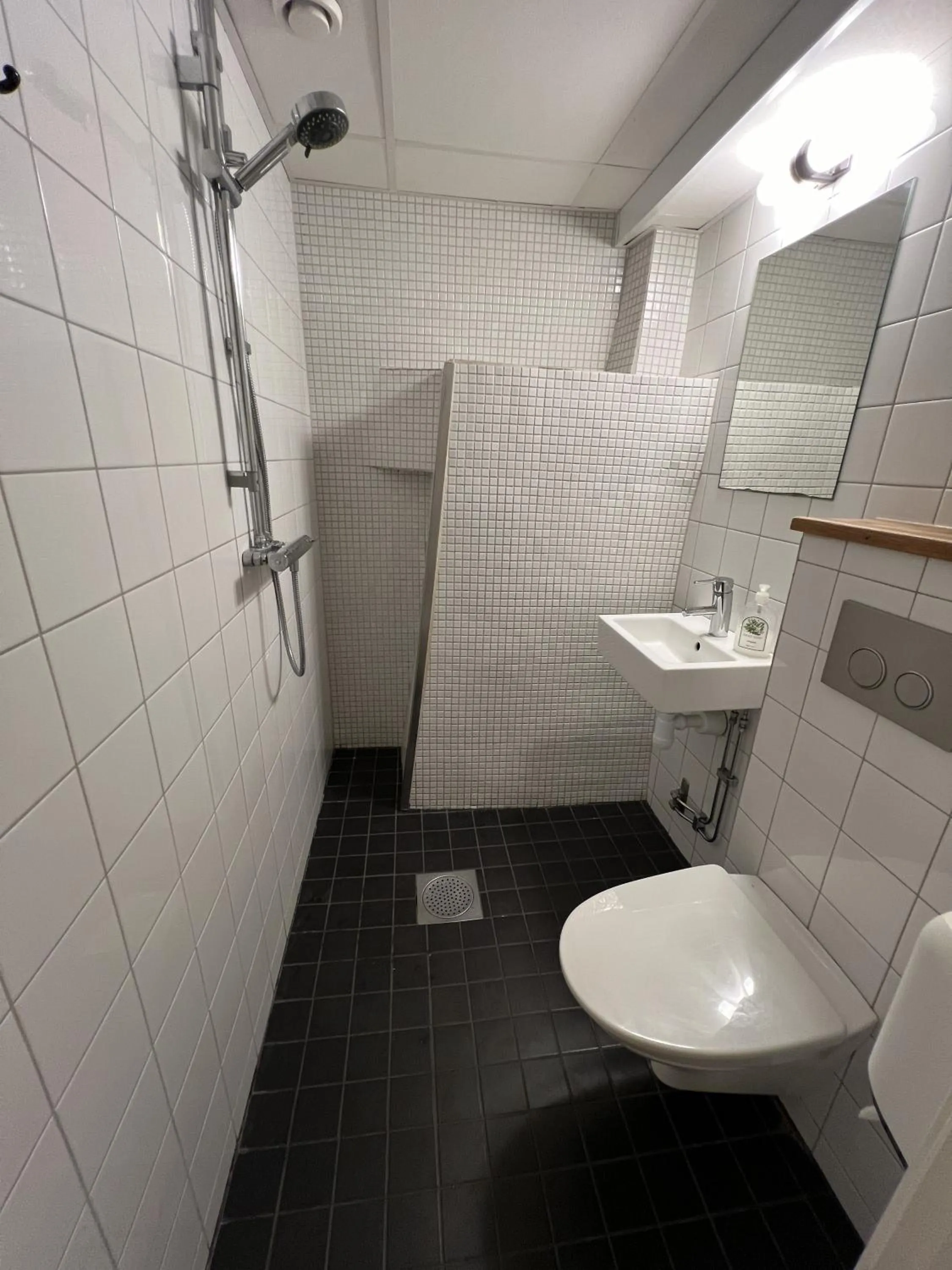 Toilet in Hostel Dalagatan