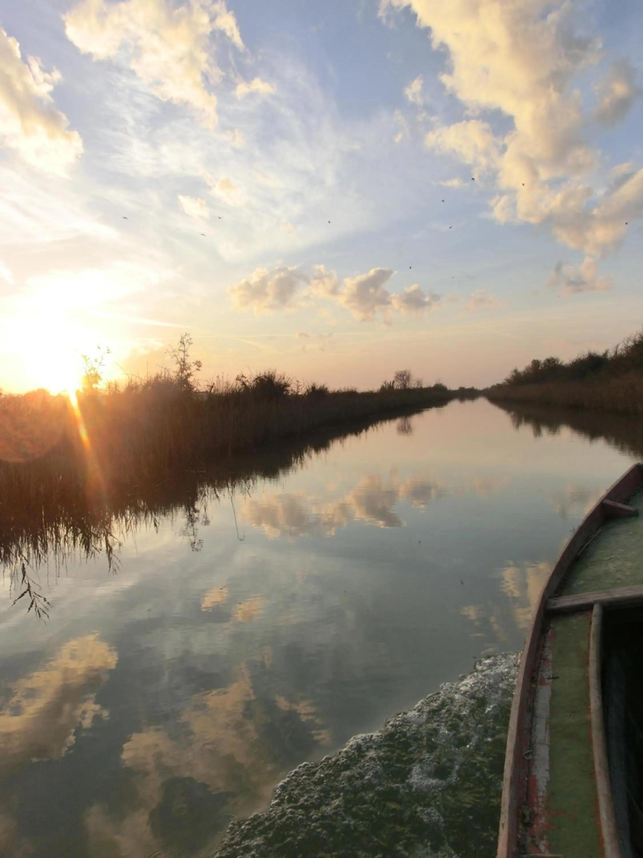 Nearby landmark in Hotel Royal Garnì