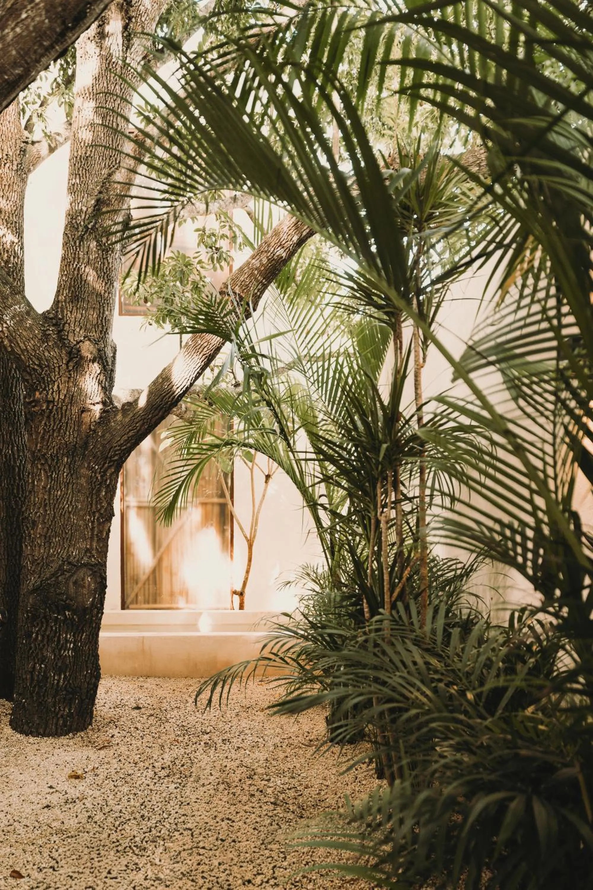 Garden in Zelune Luxury Lagoon Resort Bacalar - Adults Only