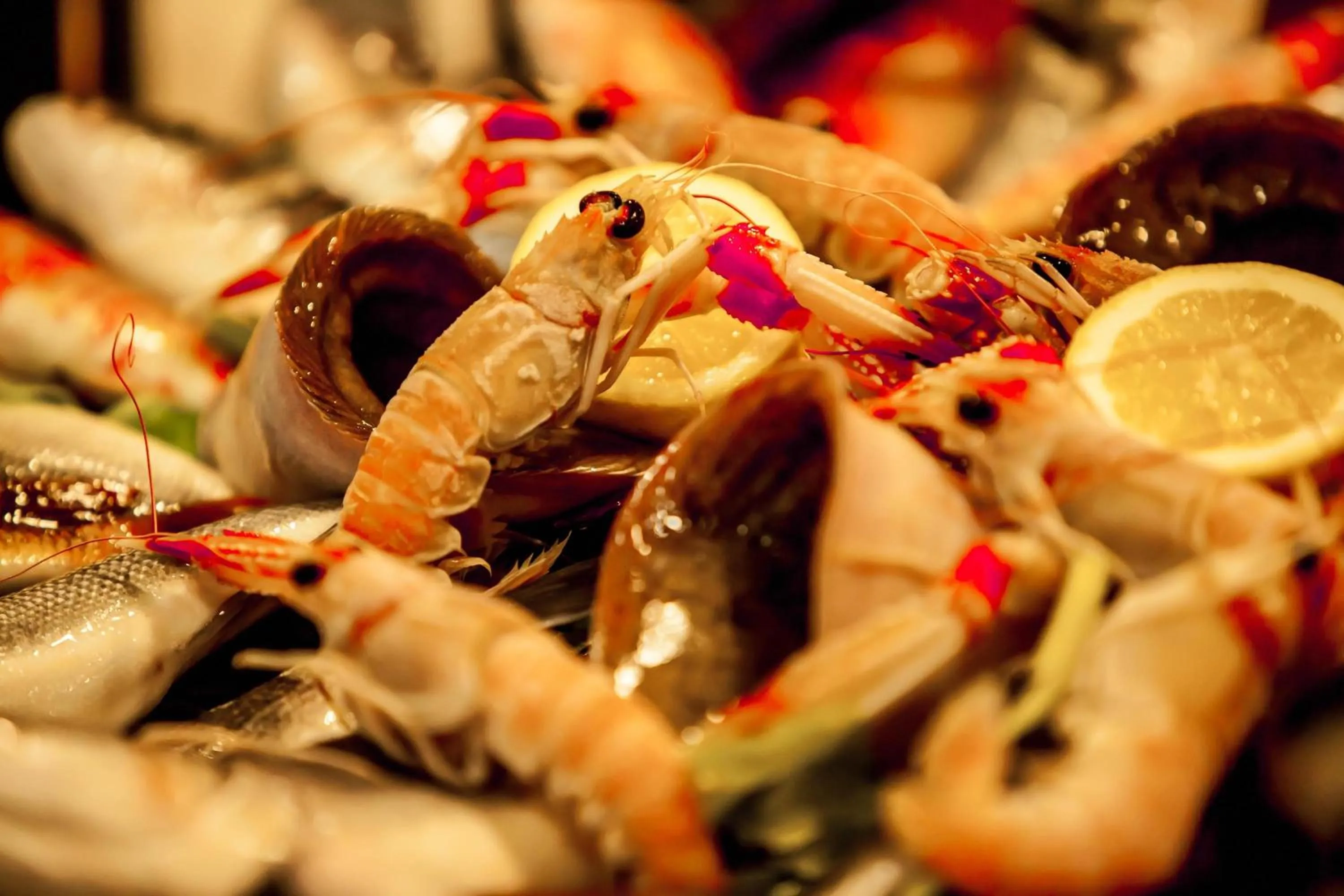 Restaurant/places to eat in Hotel Quadrifoglio