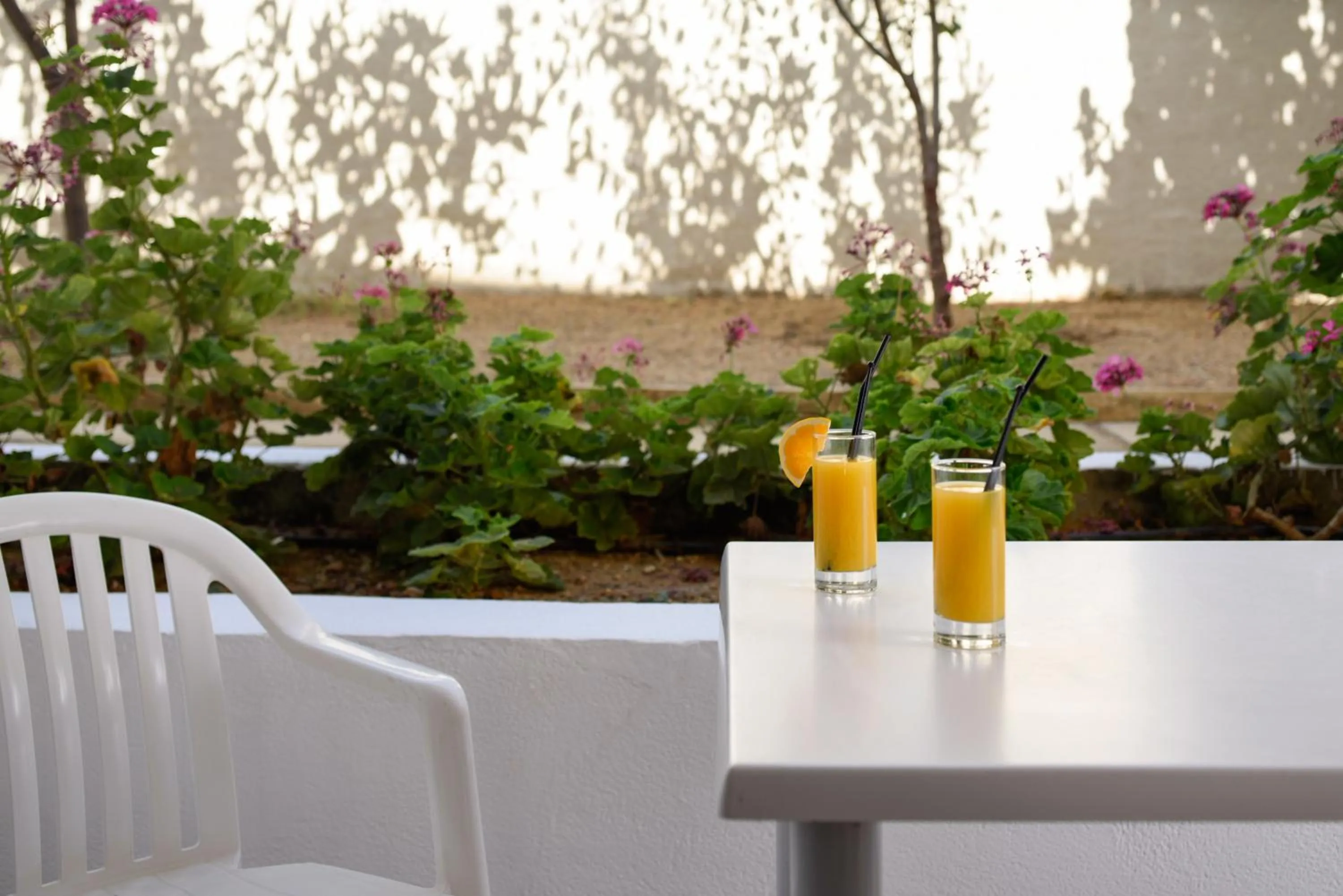 Patio in Ariadne Hotel