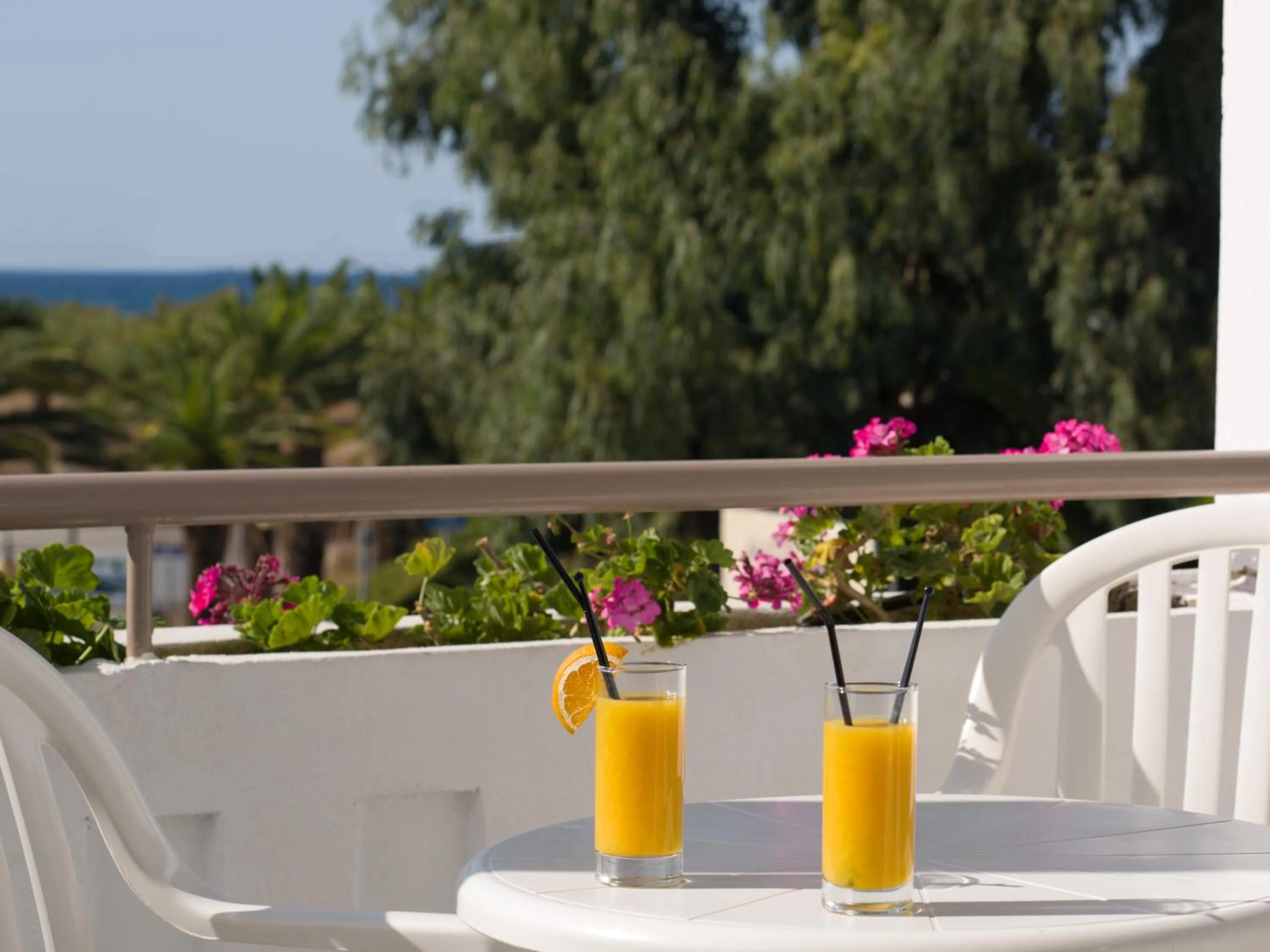 Balcony/Terrace in Ariadne Hotel