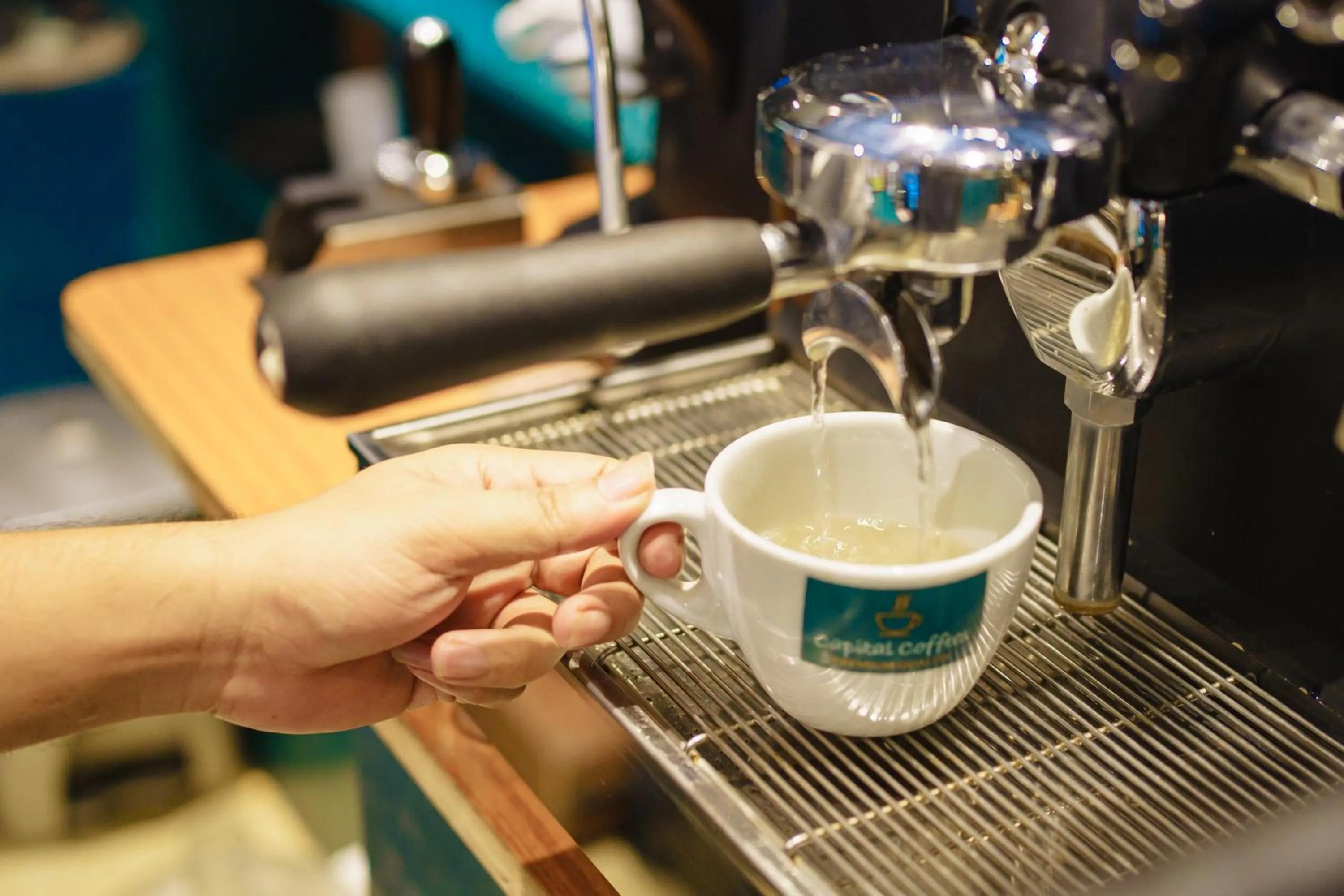 HOTEL THE CAPITAL LTD.