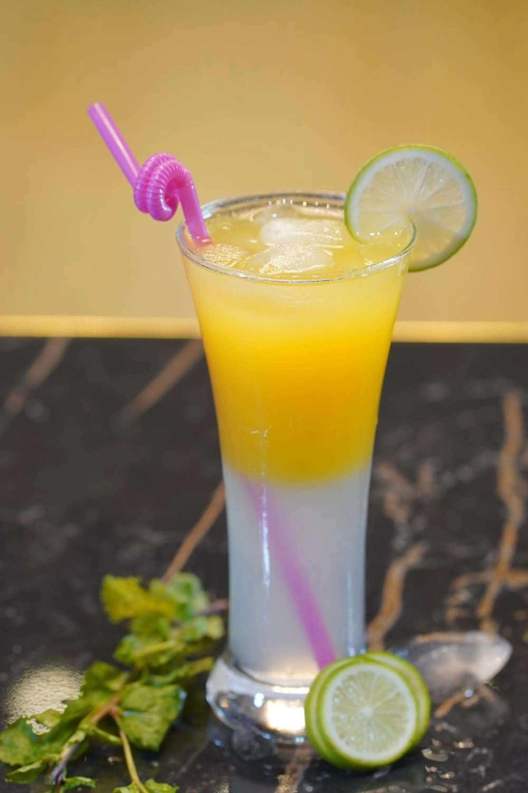 HOTEL THE CAPITAL LTD.