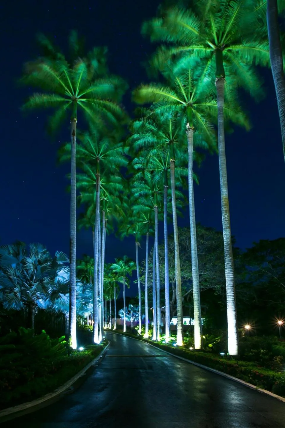 Street view in Fairmont Royal Pavilion Barbados Resort