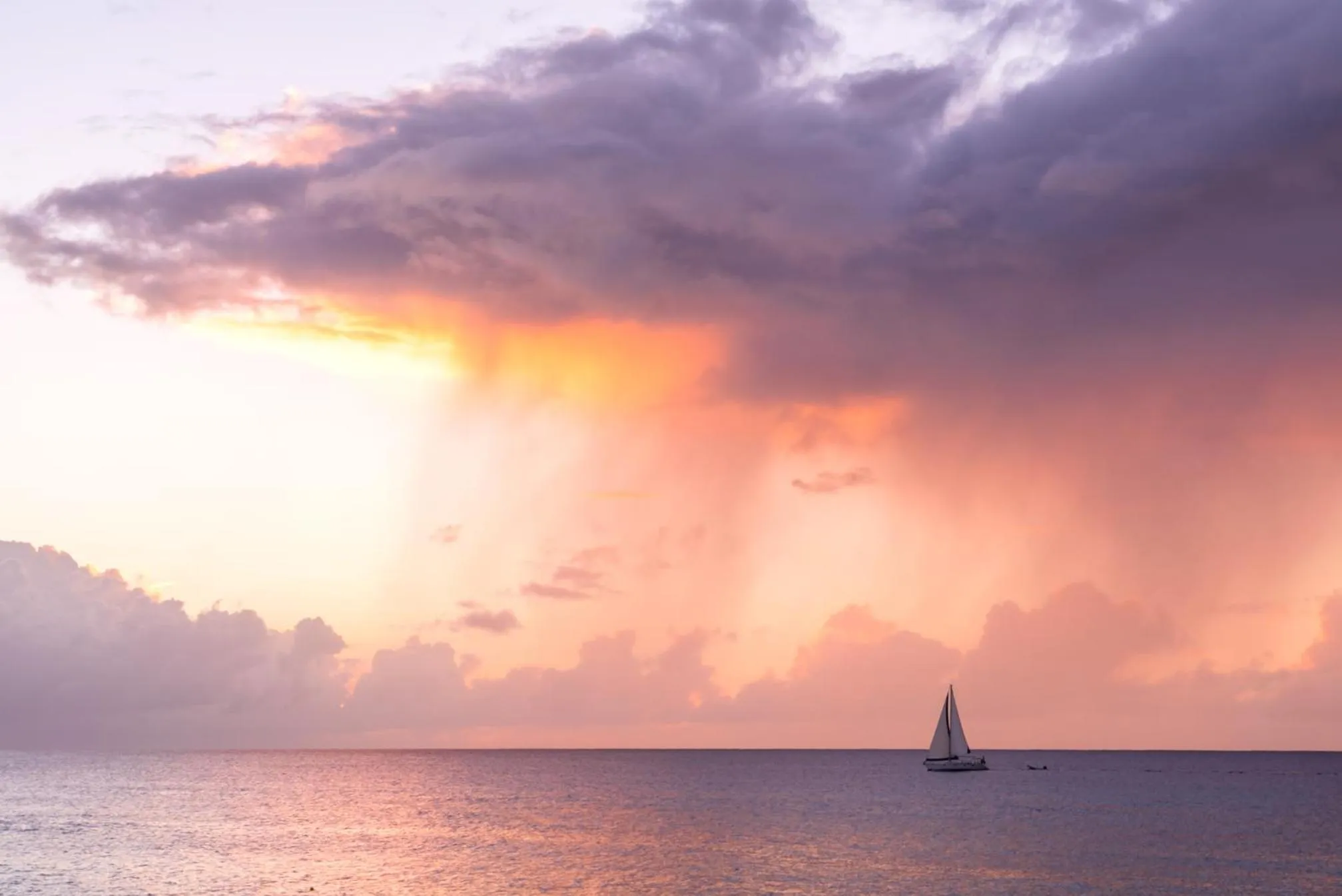 Natural landscape in Fairmont Royal Pavilion Barbados Resort