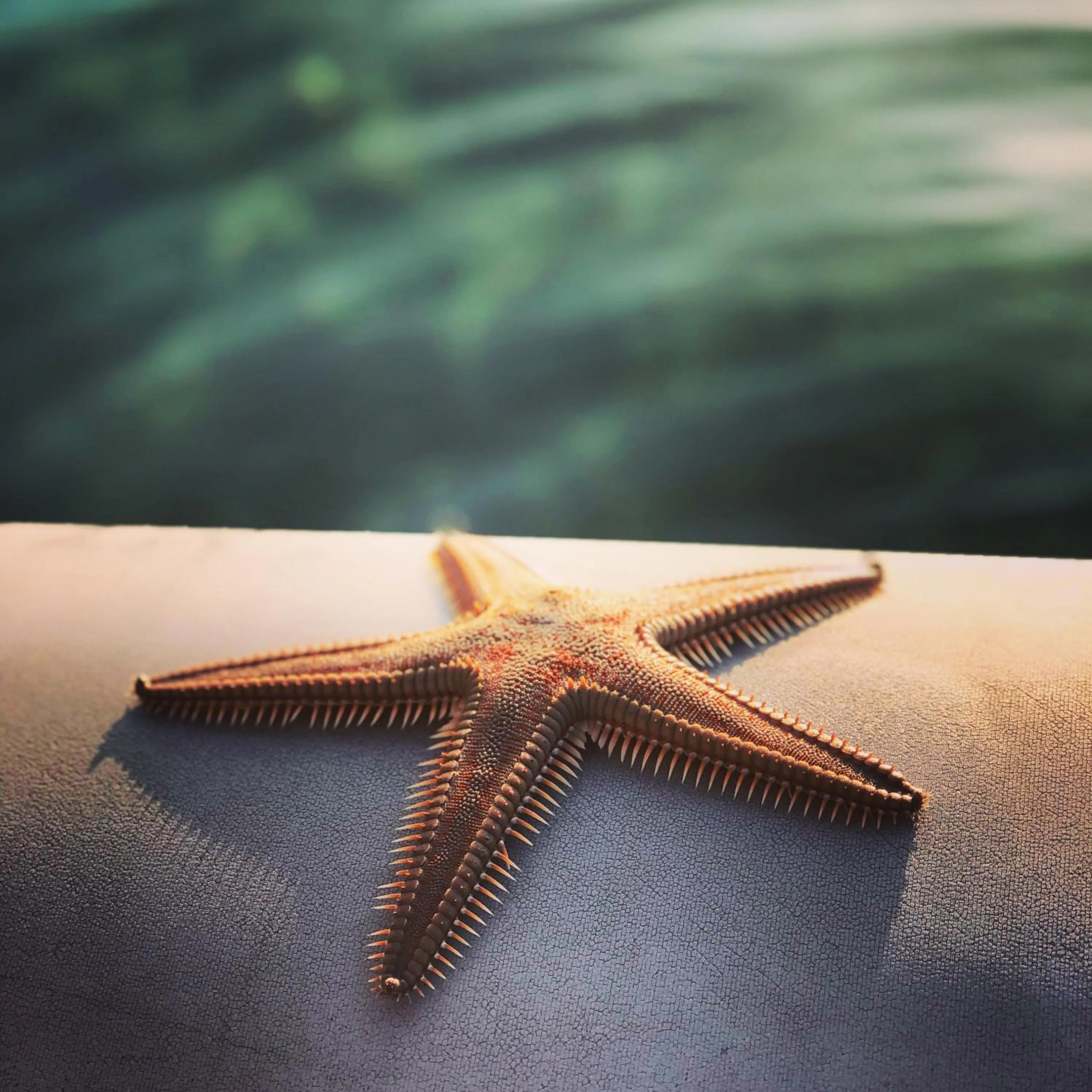 Cape Kanapitsa Hotel & Suites