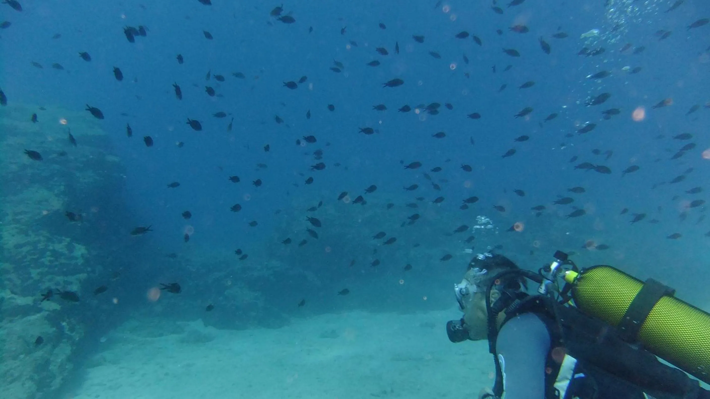 Snorkeling in Cape Kanapitsa Hotel & Suites