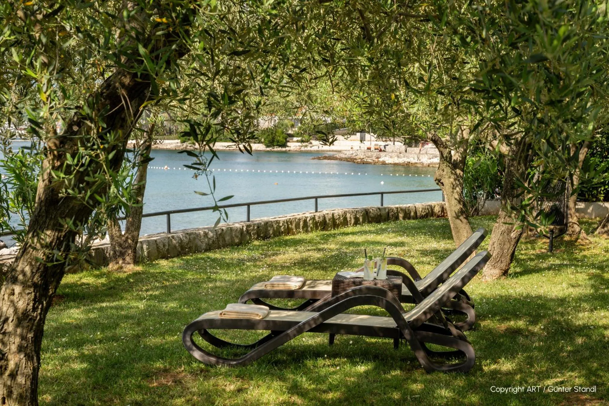 Garden in Hotel Vila Rova