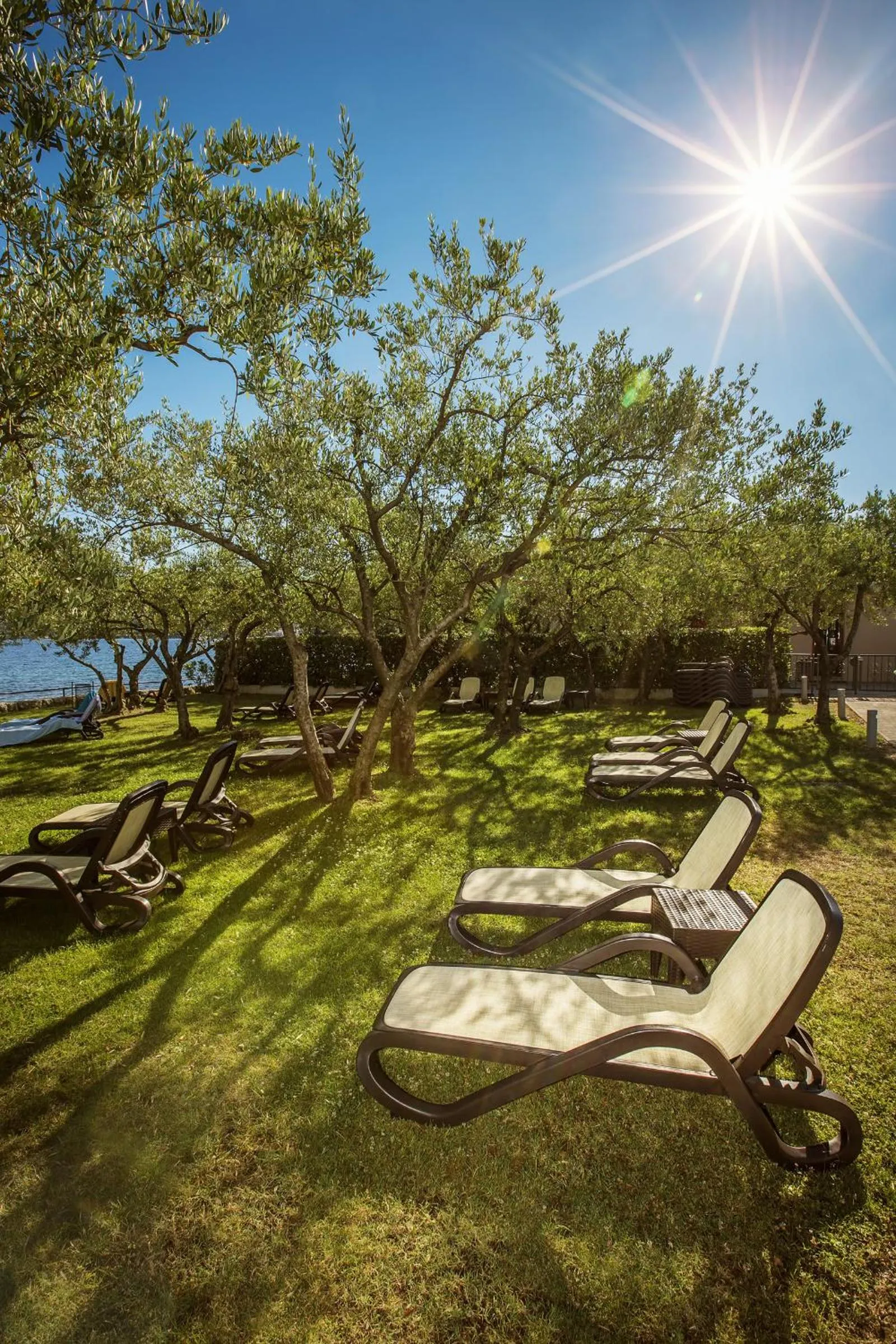 Garden in Hotel Vila Rova