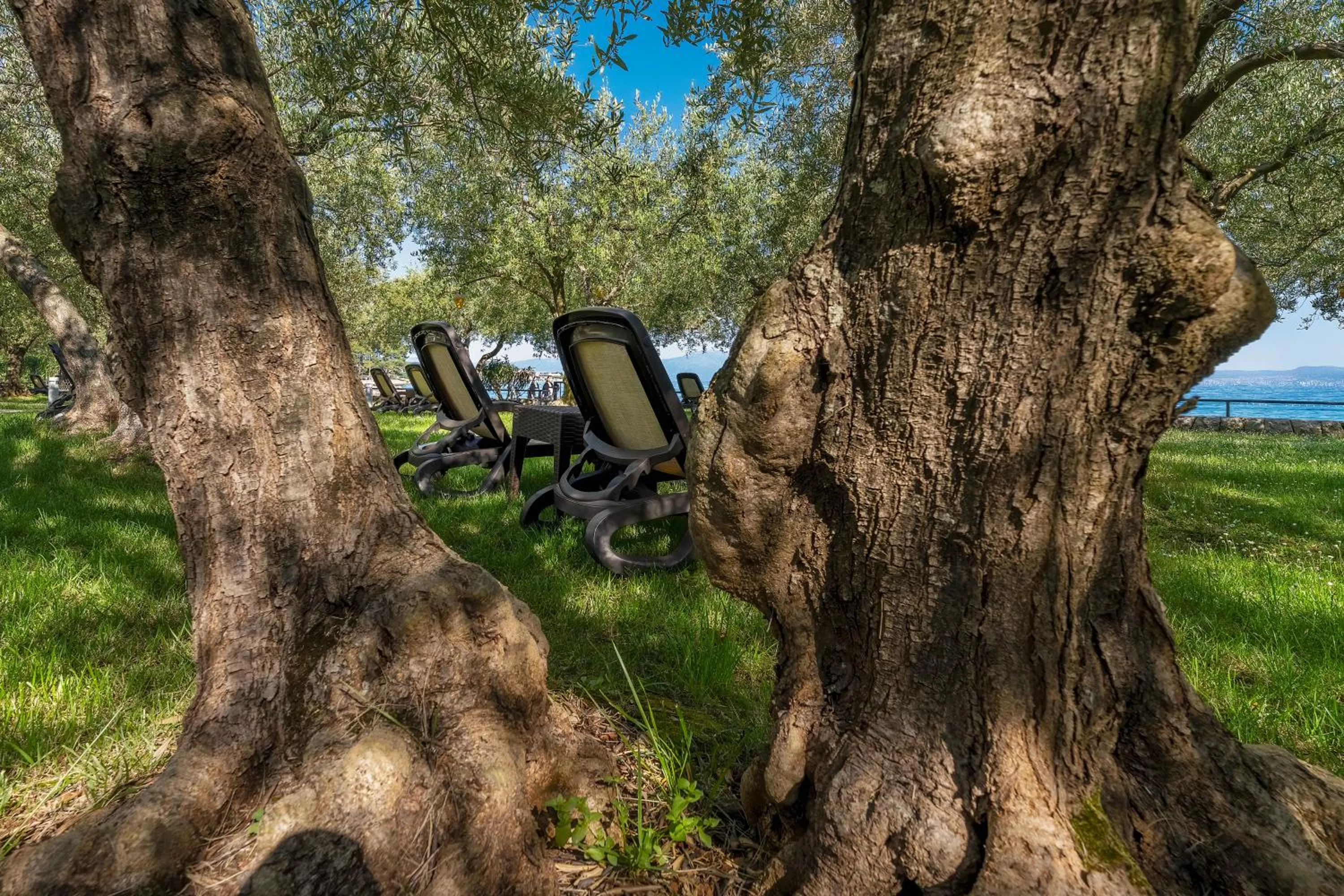 Spring in Hotel Vila Rova