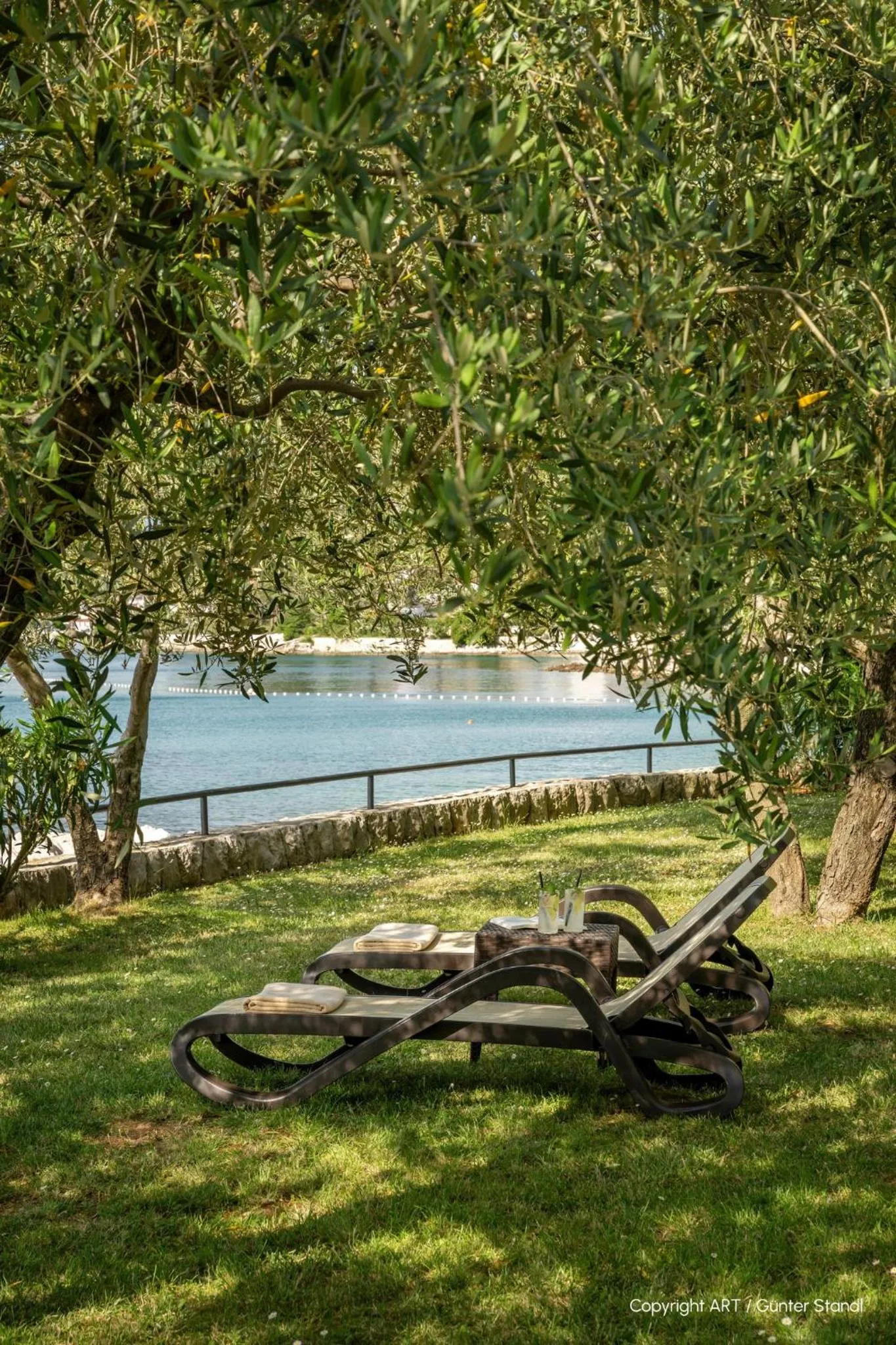 Garden in Hotel Vila Rova