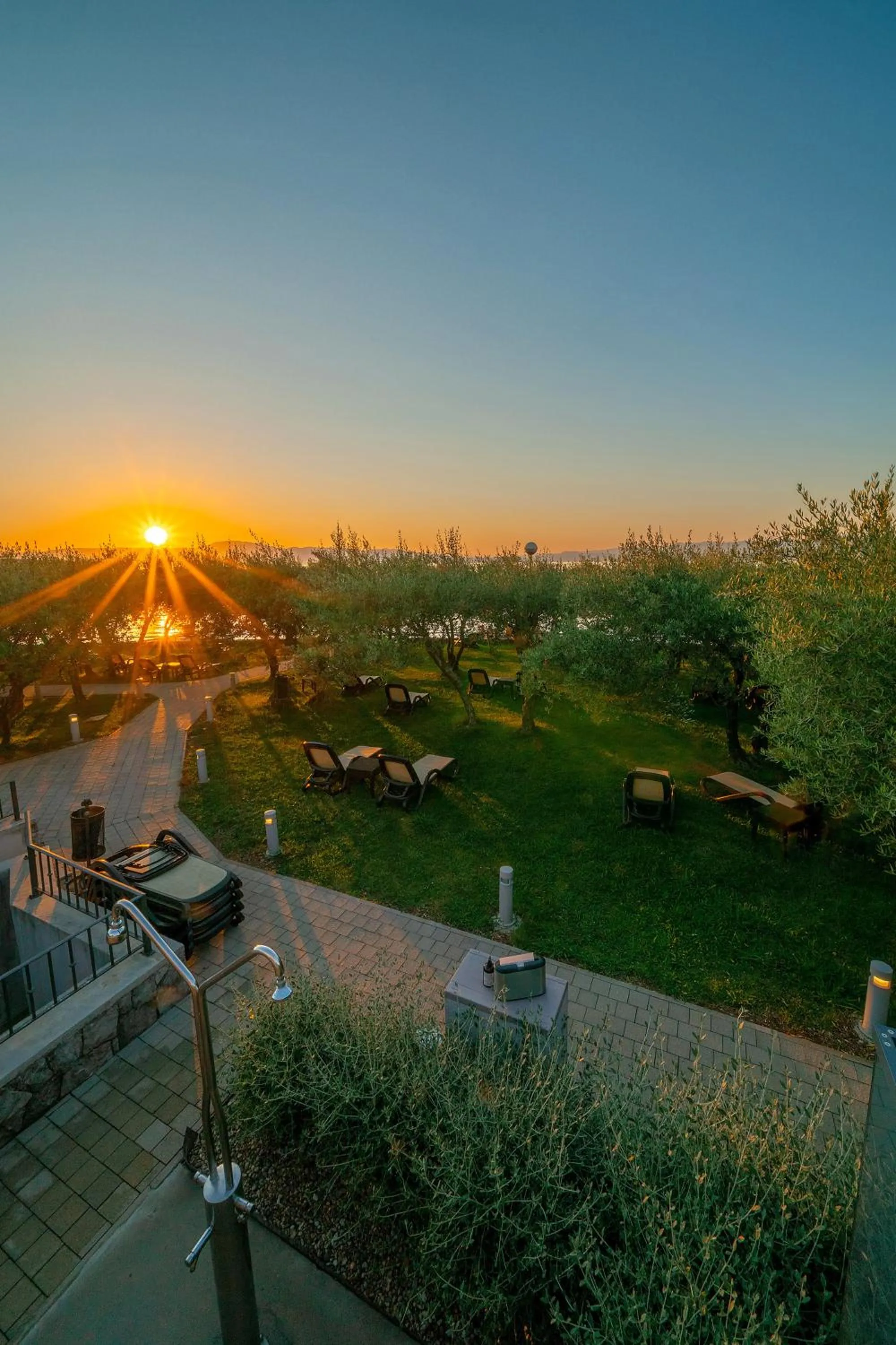 Garden in Hotel Vila Rova