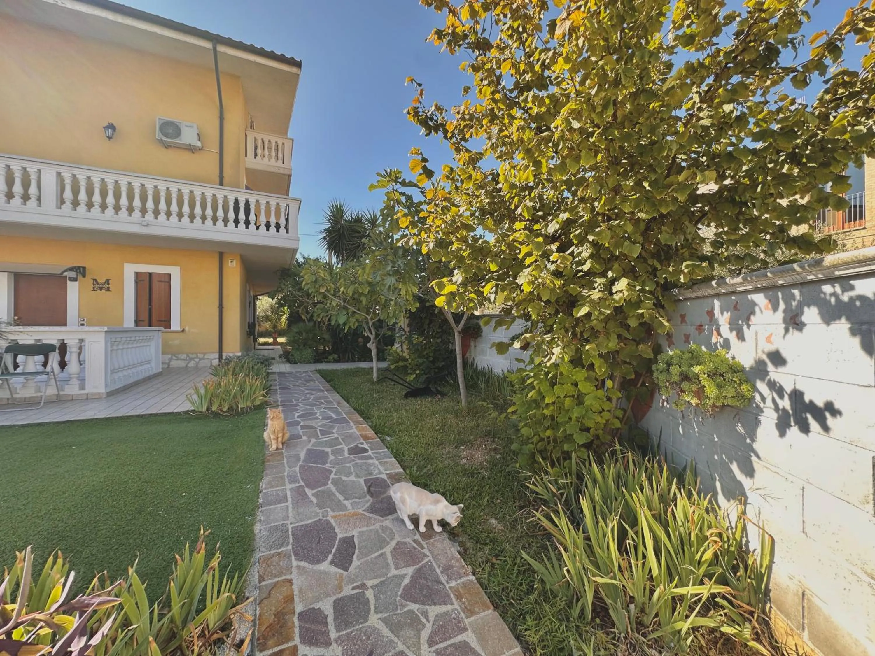 Garden in B&B Mariposa