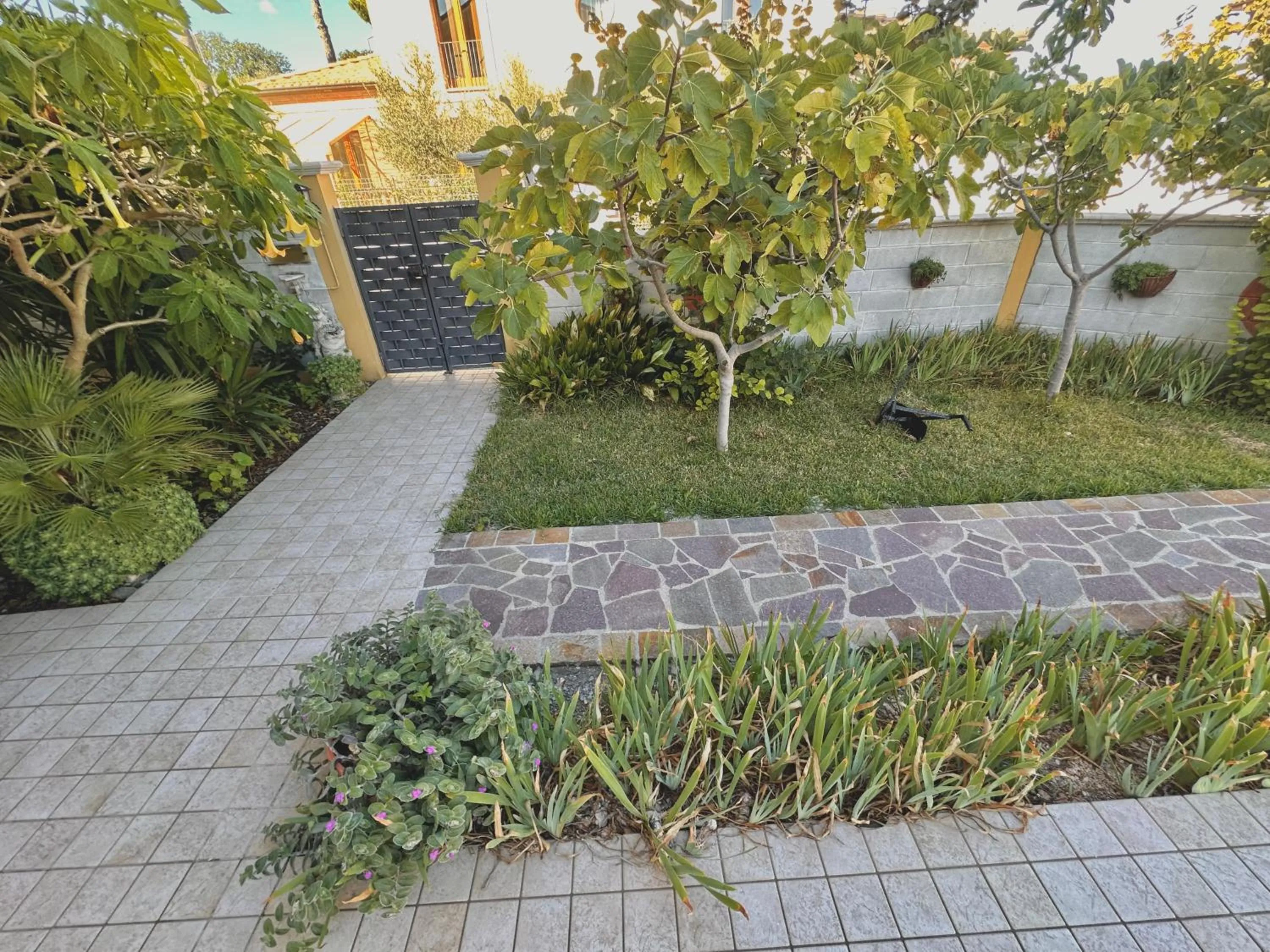 Garden in B&B Mariposa