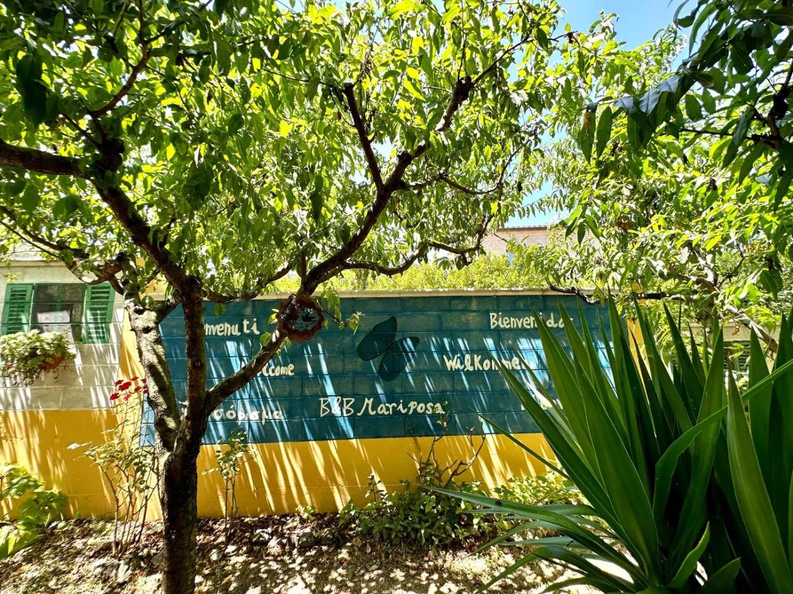 Garden view in B&B Mariposa