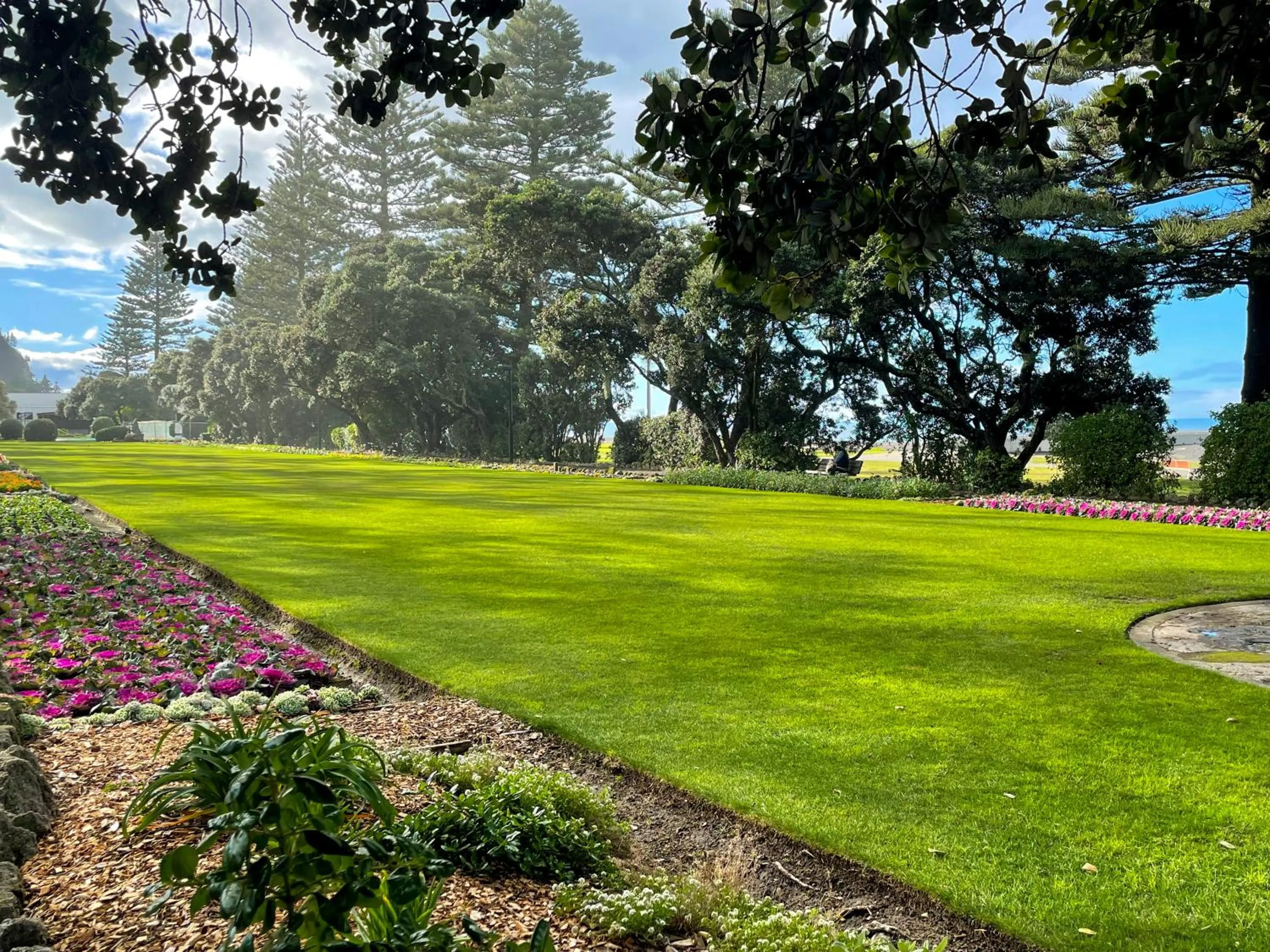 Other in Swiss-Belhotel Napier