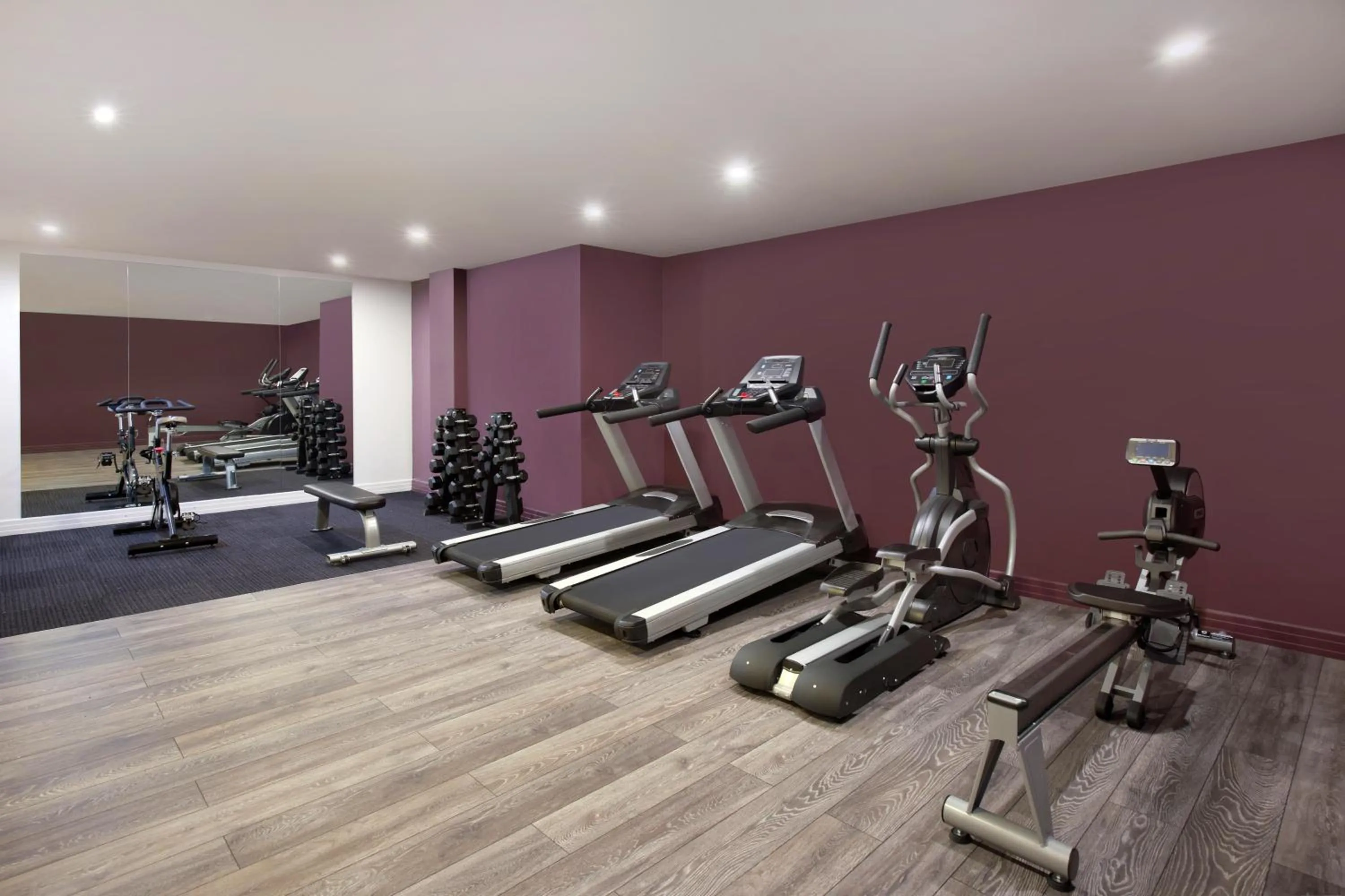 Swiss-Belhotel Napier