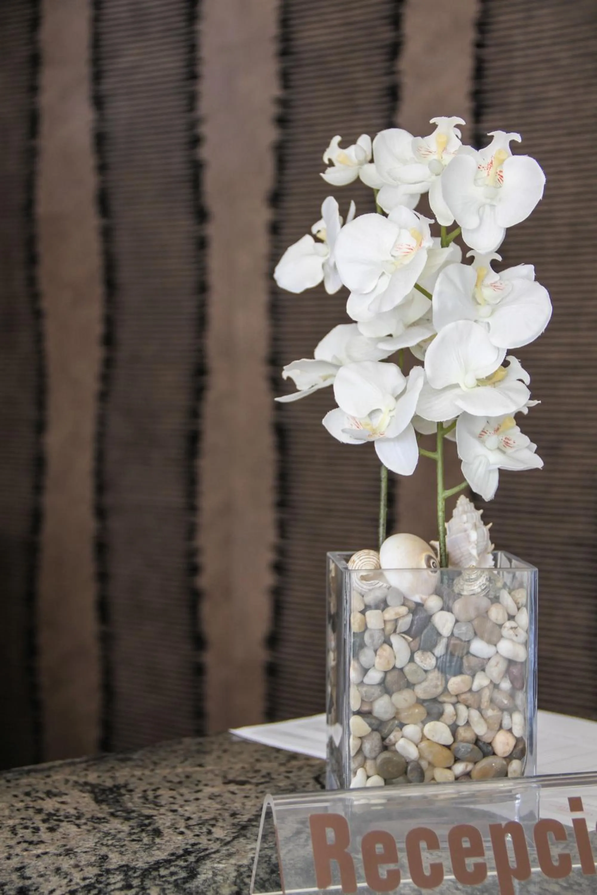 Lobby or reception in Hotel Verdemar