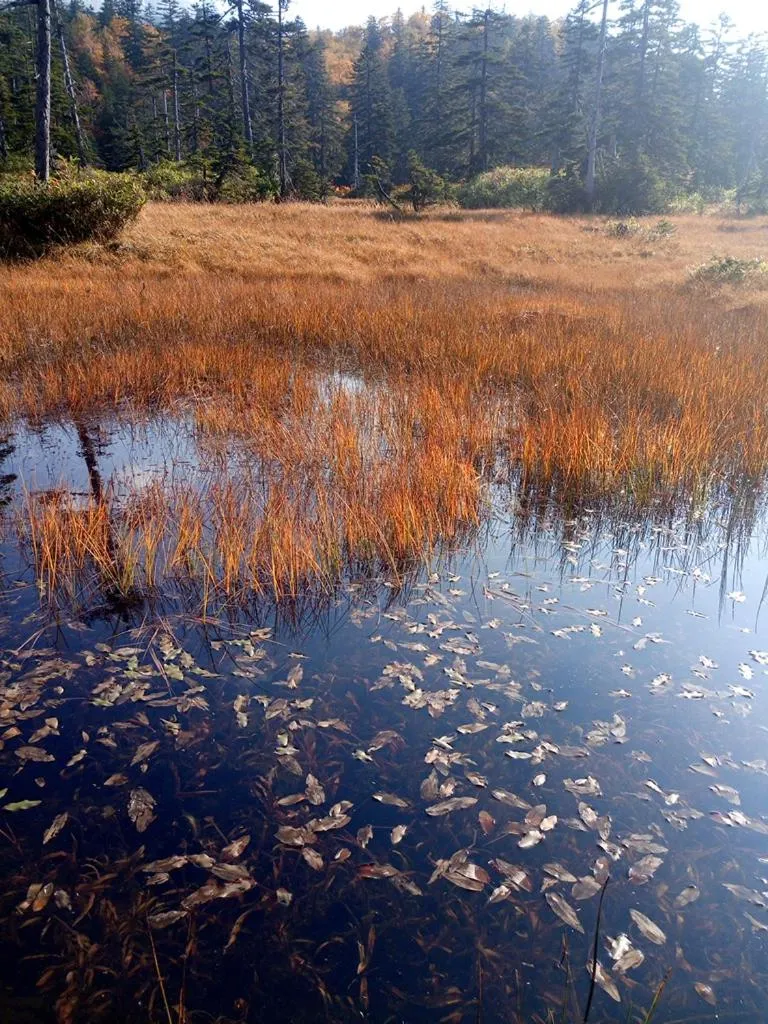 K's House Hokkaido - Asahidake Onsen Hostel