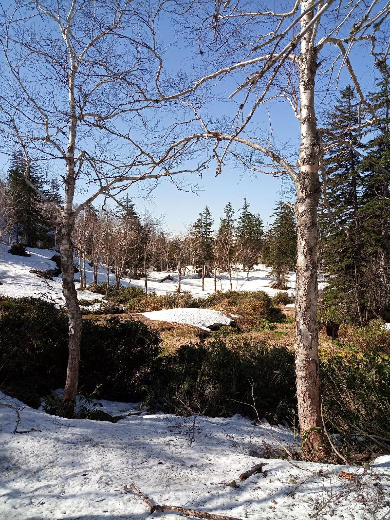 Natural landscape in K's House Hokkaido - Asahidake Onsen Hostel