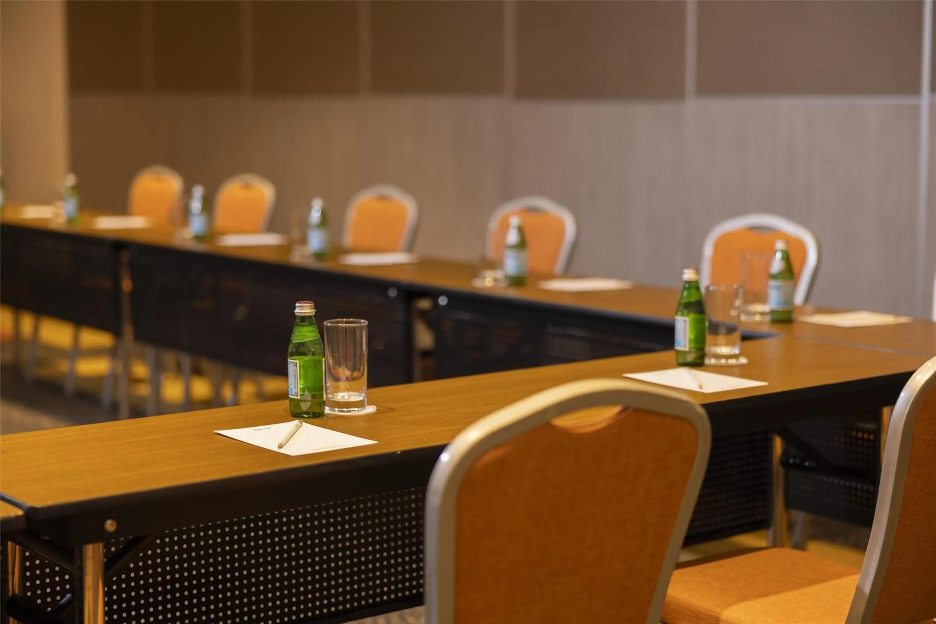 Meeting/conference room in Park Inn By Radisson Iloilo